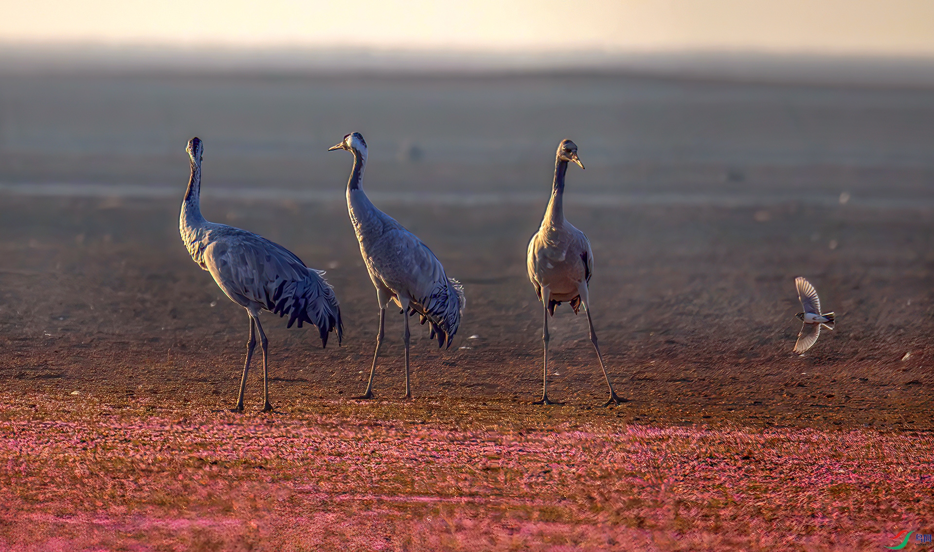 407A6493-----22  .jpg