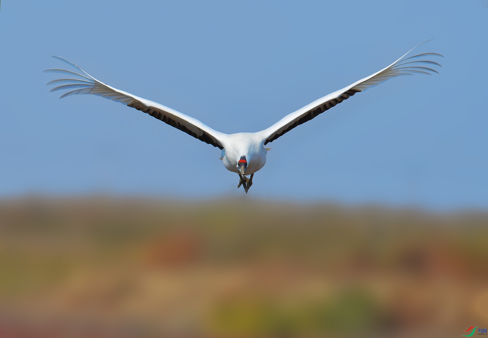 DSC_4189 -1.jpg