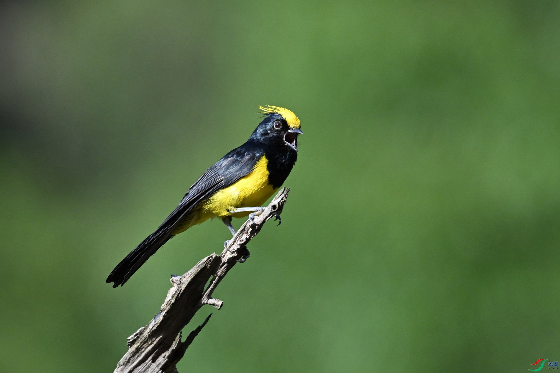 DSC_2314.JPG