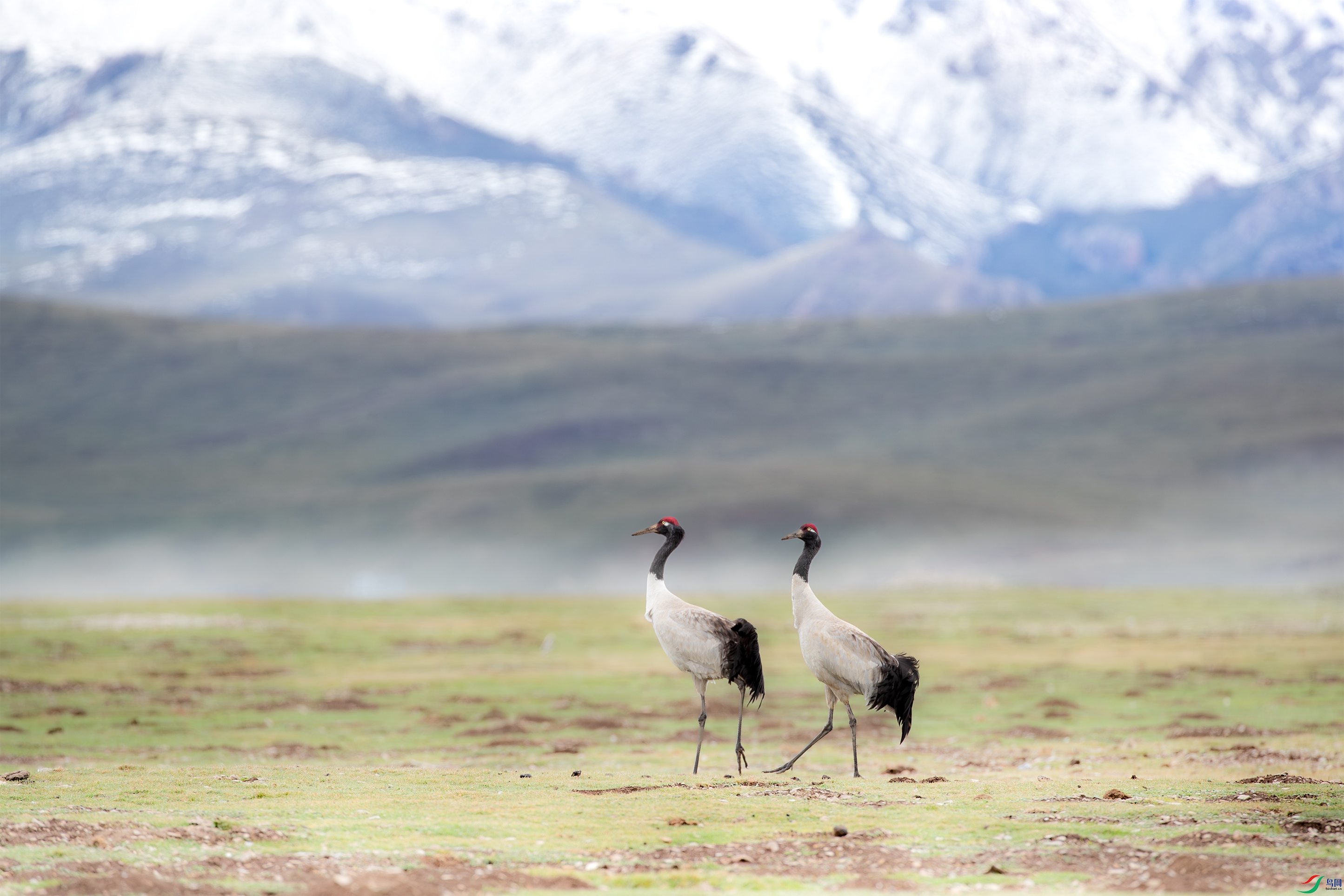 AY8I9409 ����.jpg