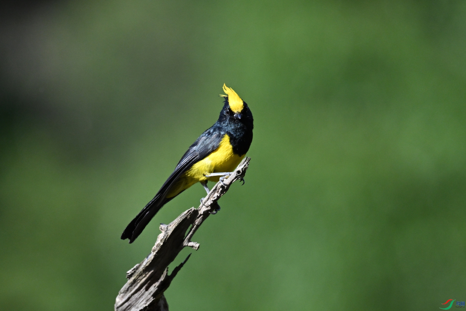 DSC_2322.JPG