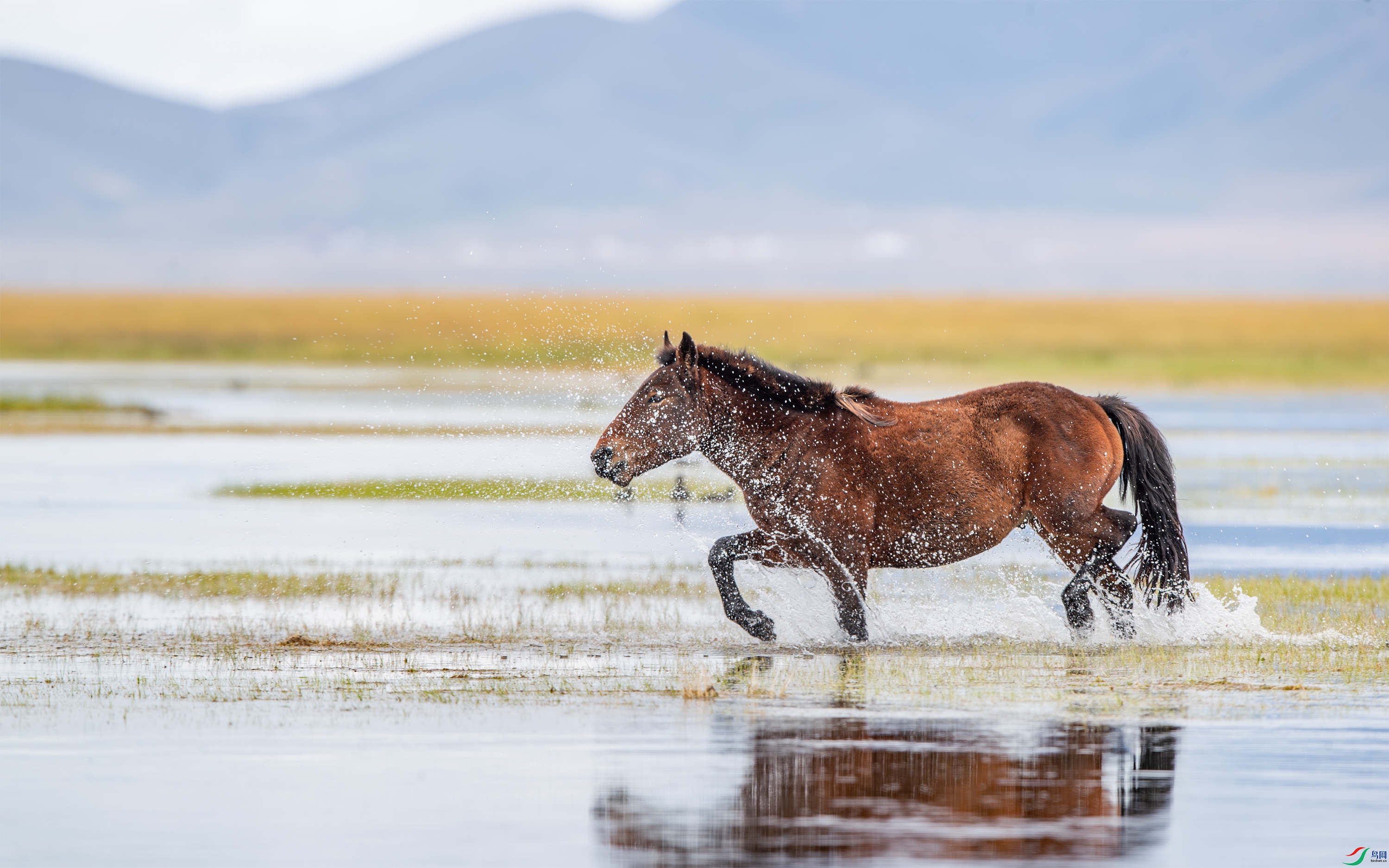 AY8I2459 ����.jpg