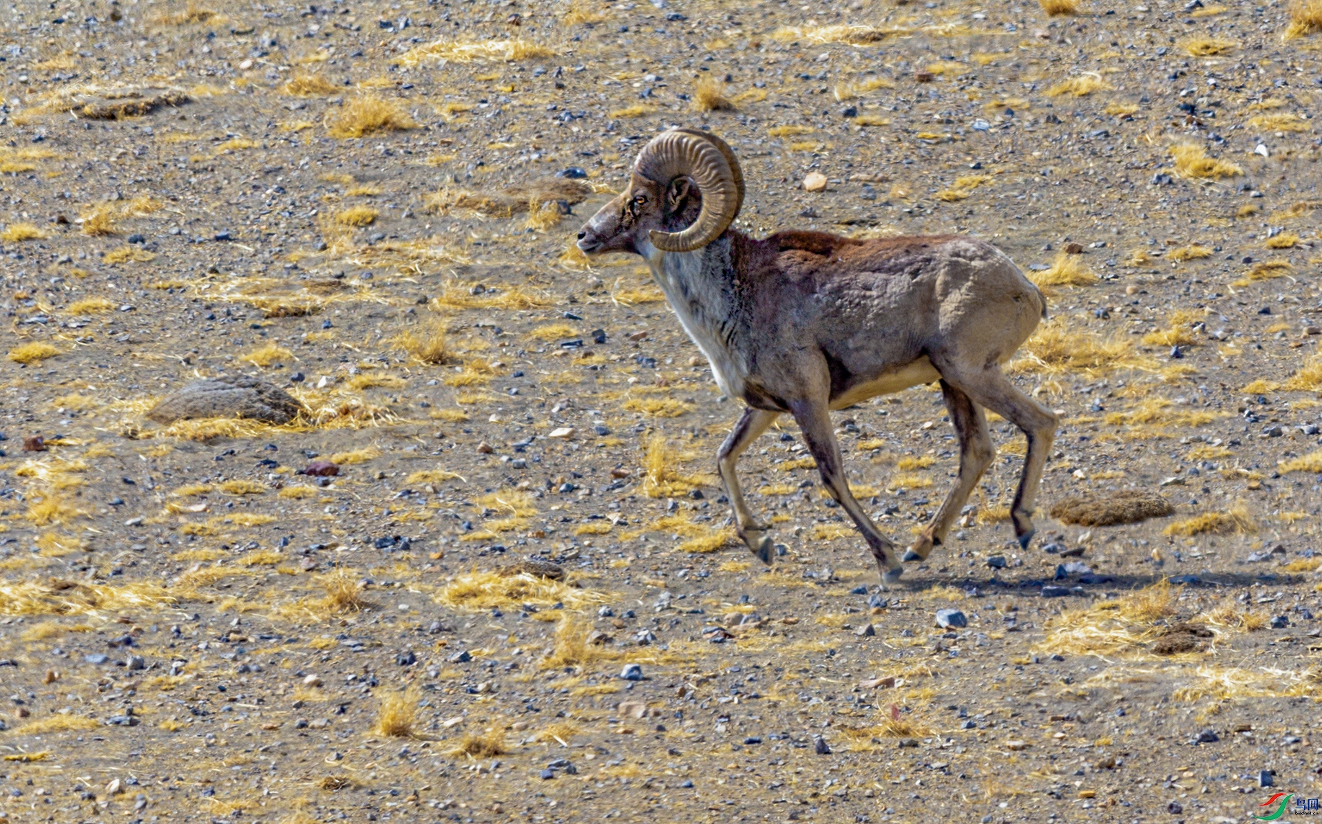 066A8227 ����.jpg