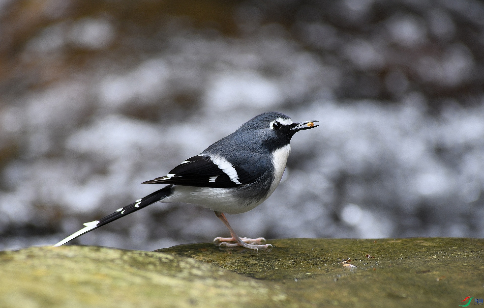 DSC_4569.jpg