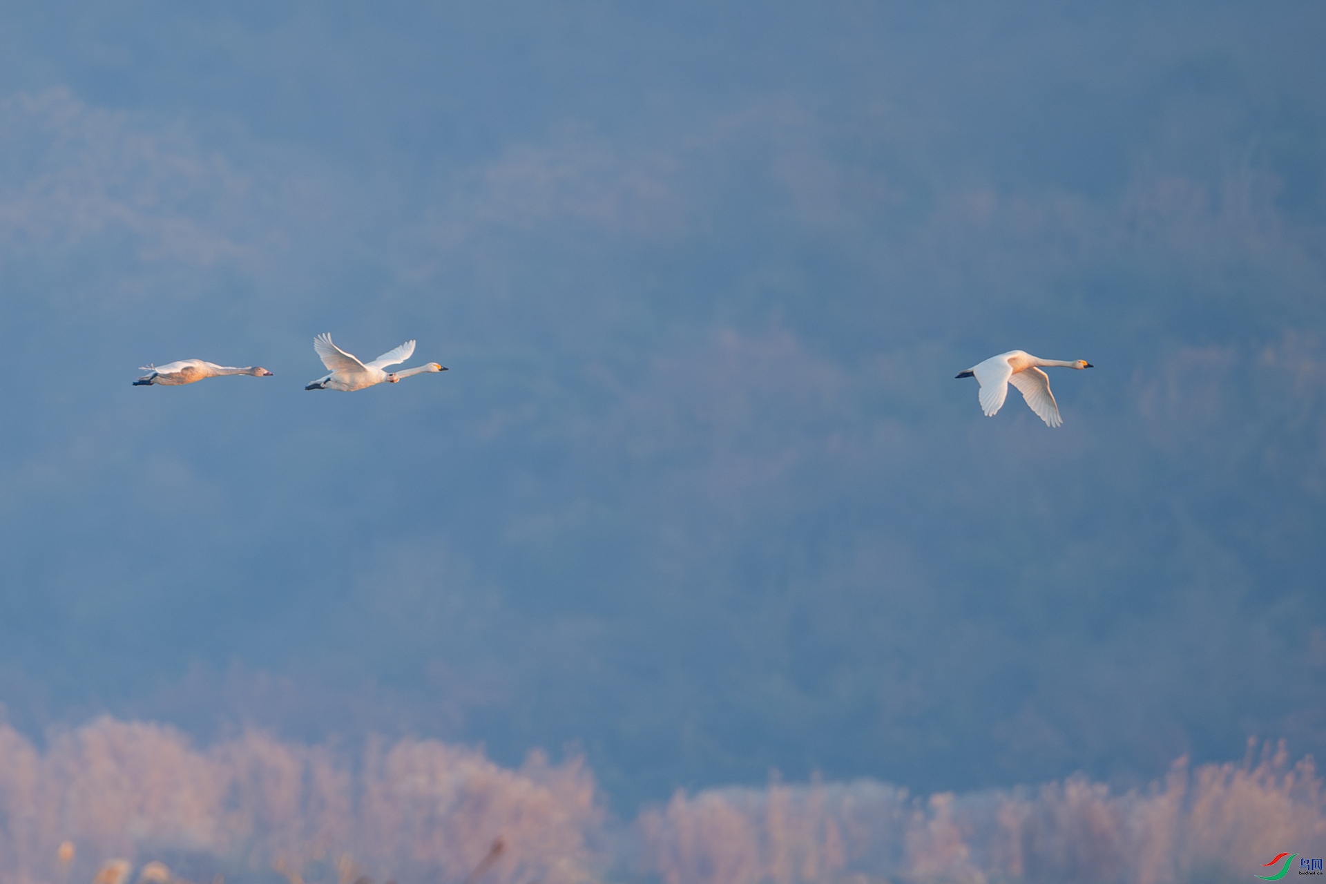 DSC_6967.jpg