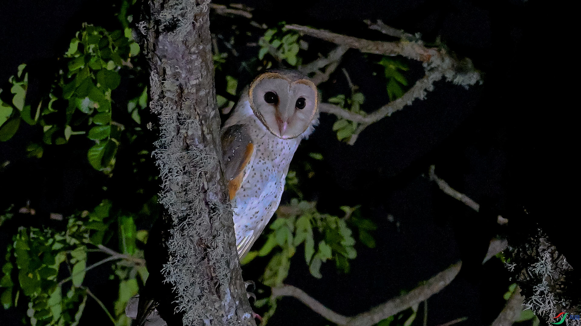 DSC_9364 ���^.jpg