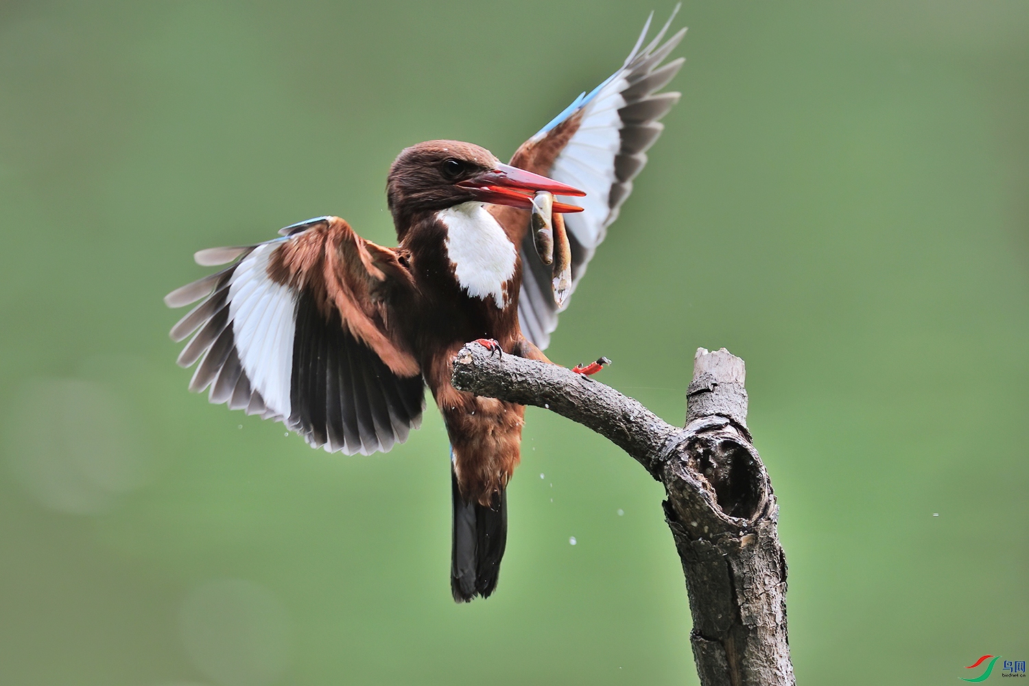 _DSC7790cc.jpg