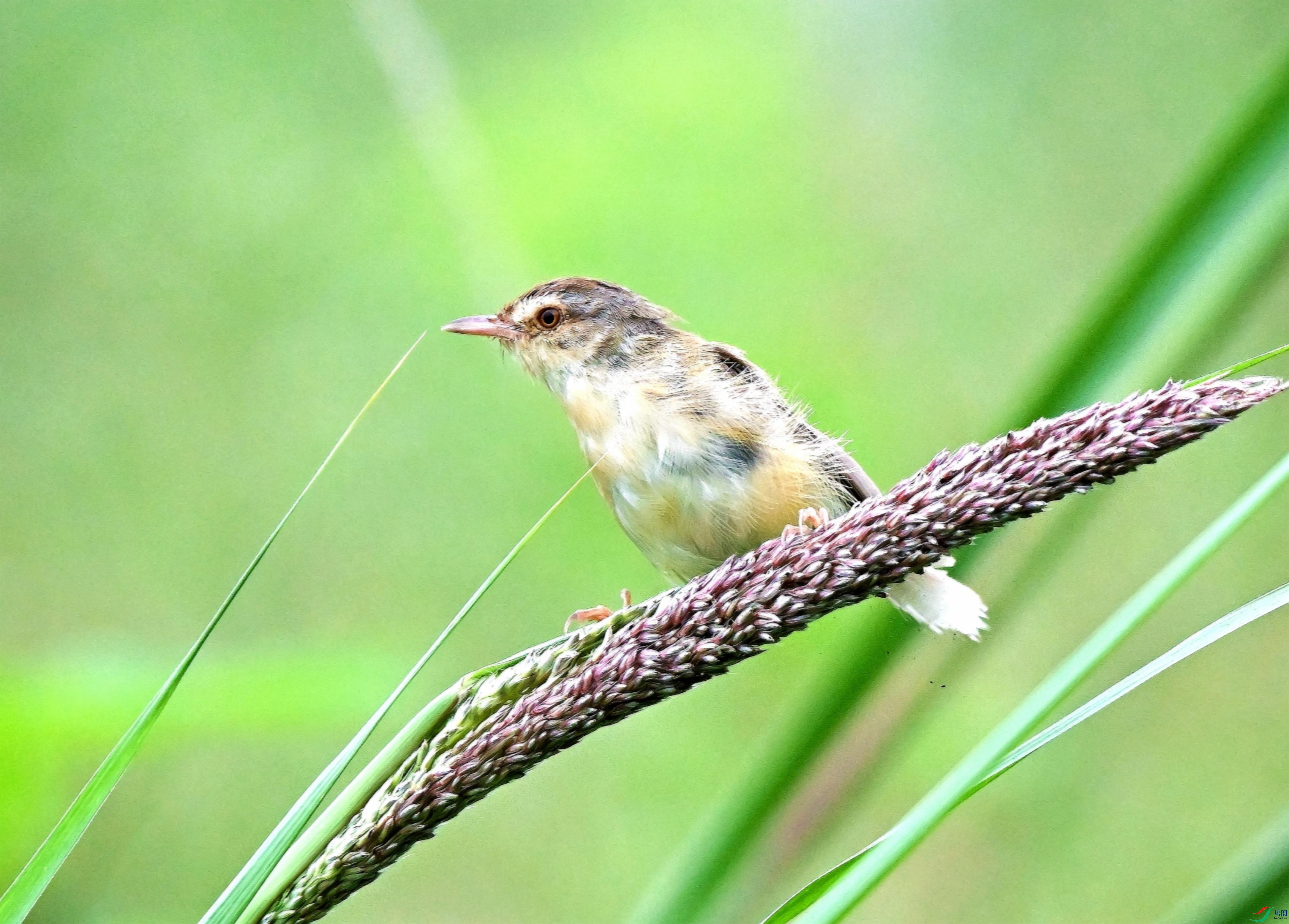 DSC_1416.JPG