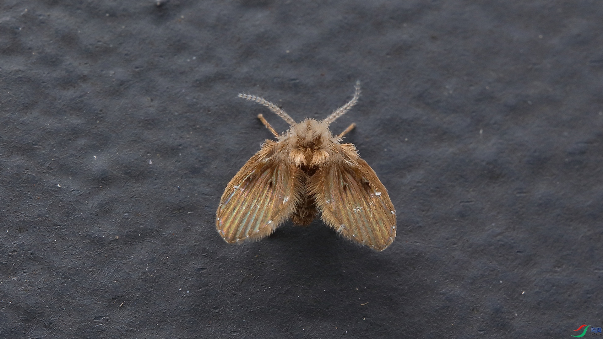 0M7A34610.jpg