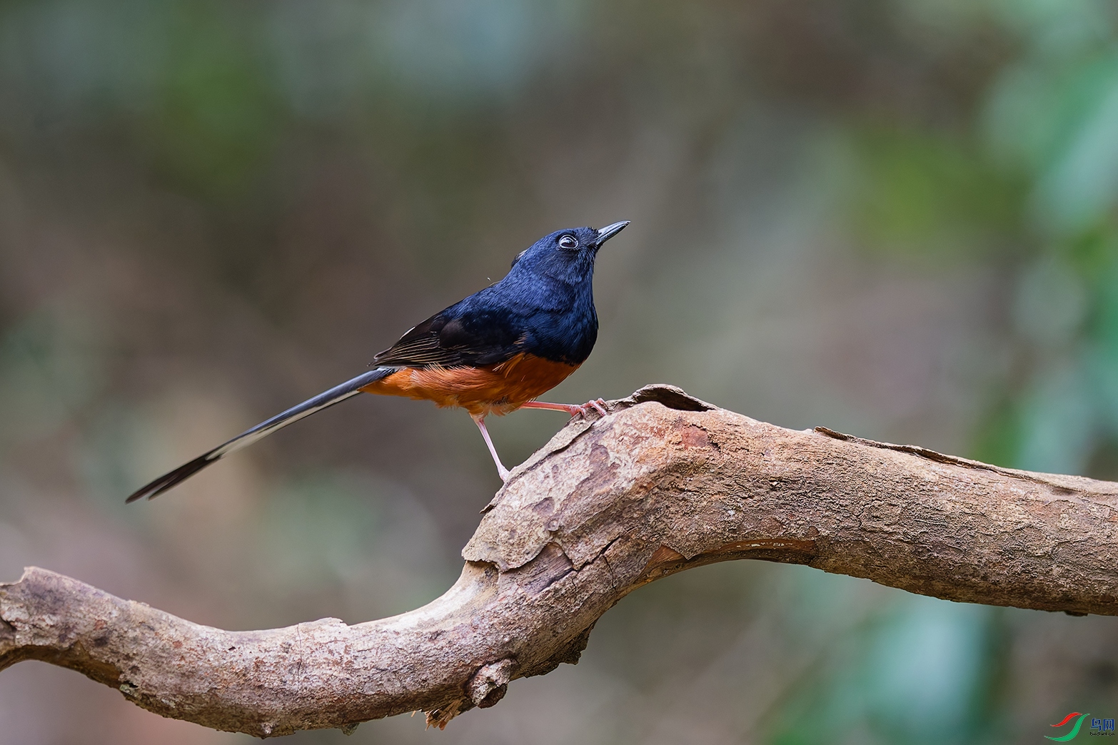DSC_9695_DxO_DxOa.jpg