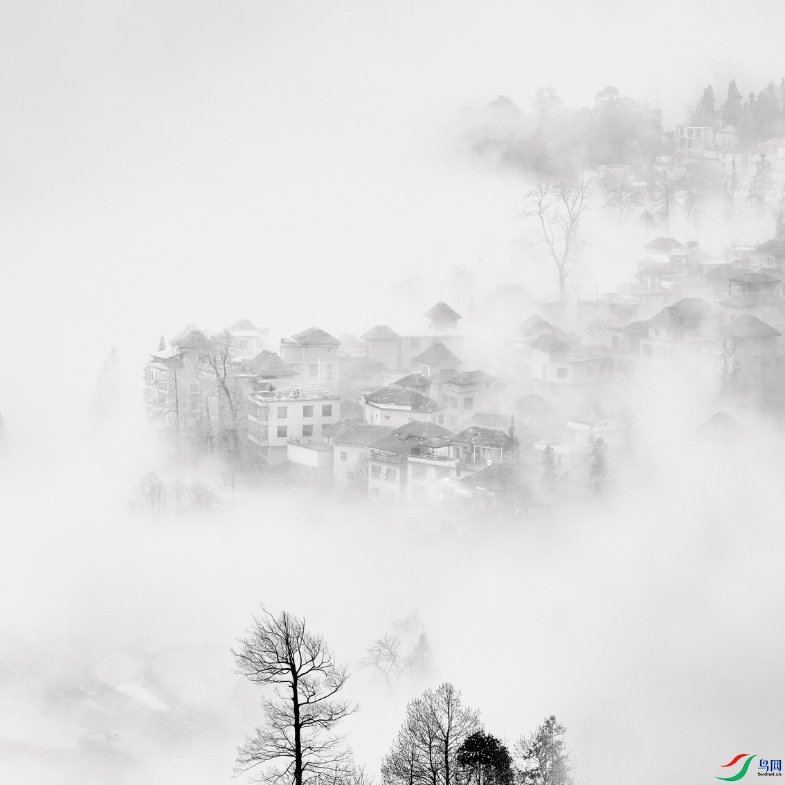 DSCF8643.tifd 1.tifx 1.jpgg.jpgc.jpg