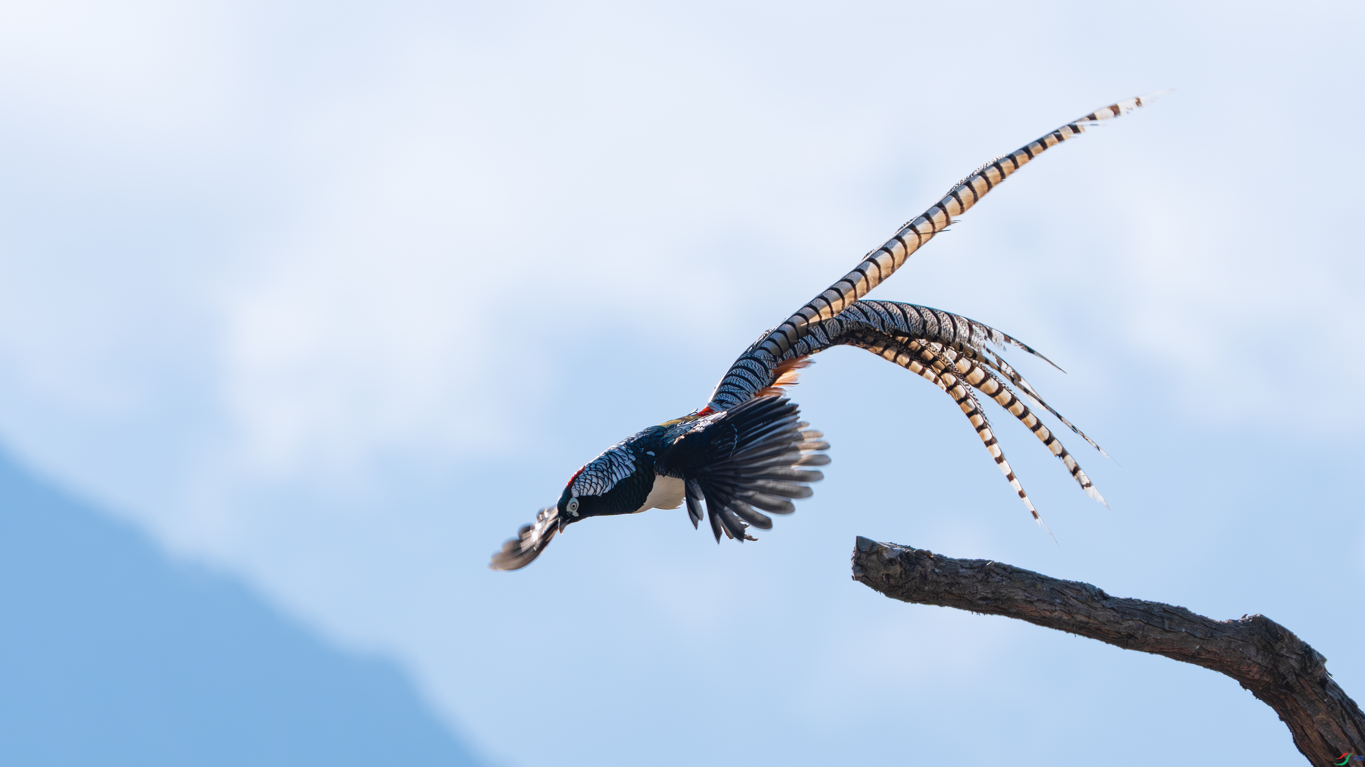 _DSC9008 ����.jpg