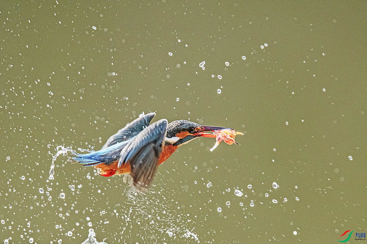 DSC_4049.jpg