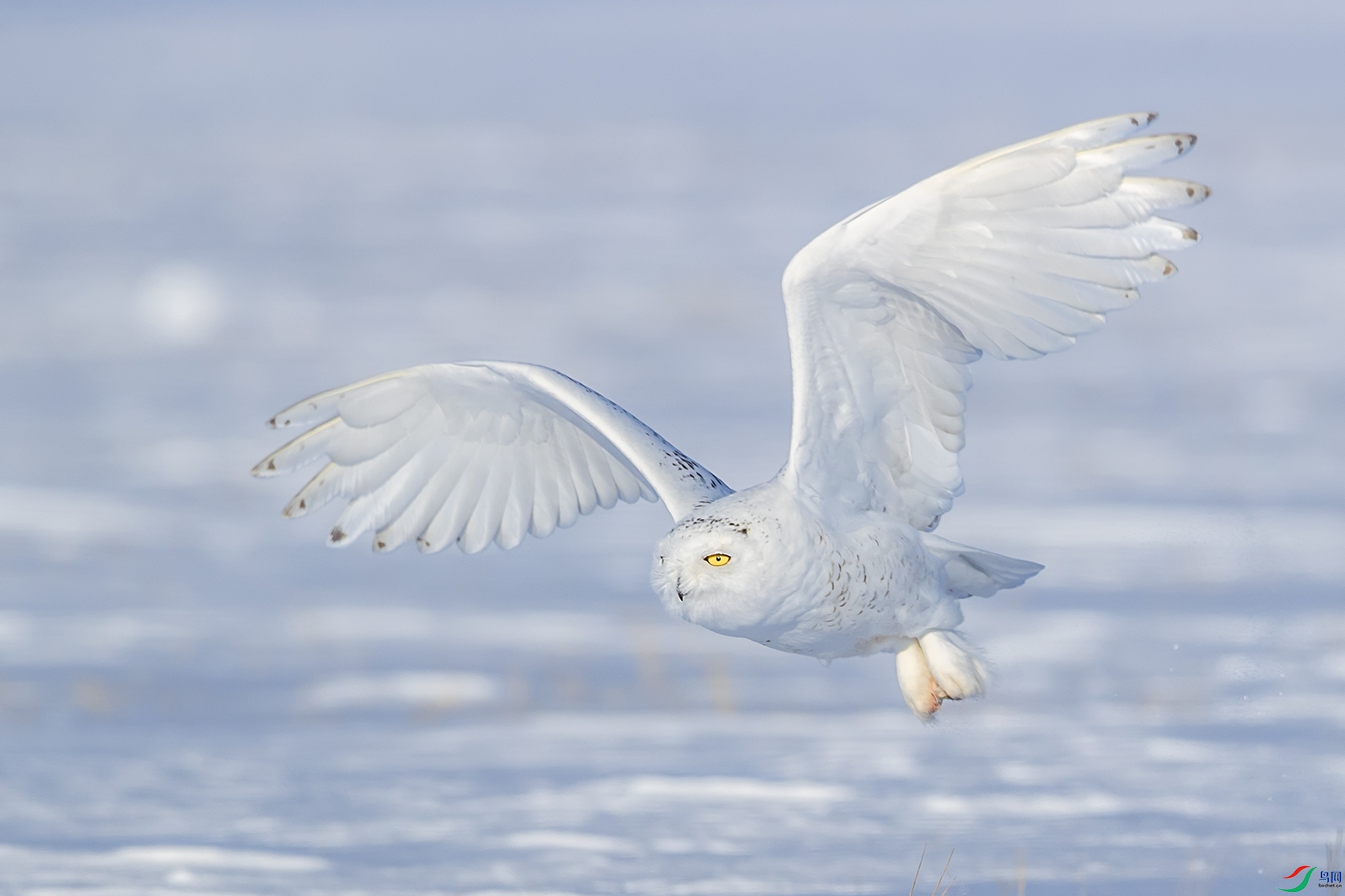 BC9I1283 ����.jpg