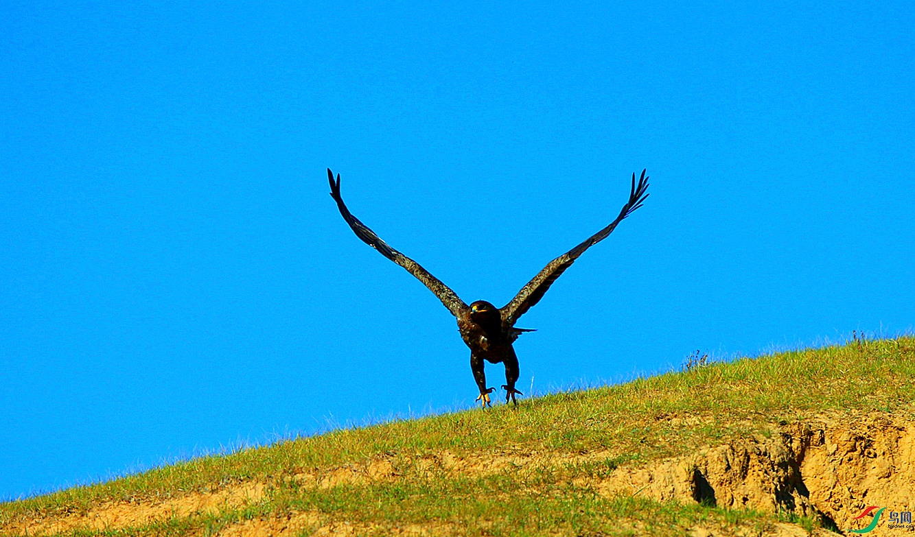 H46R5286_���� (2).jpg