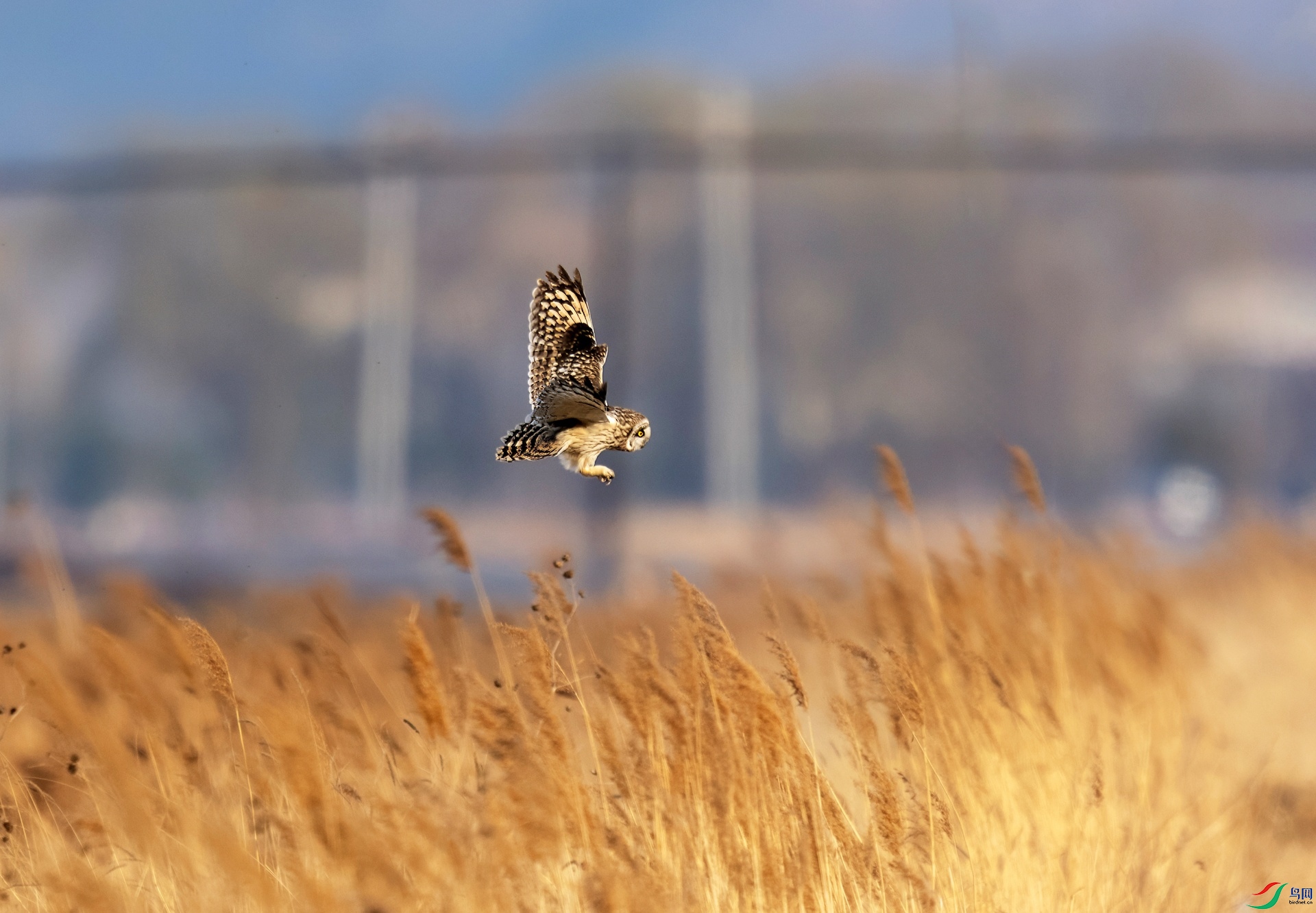 _DSC3151 ����-01.jpeg