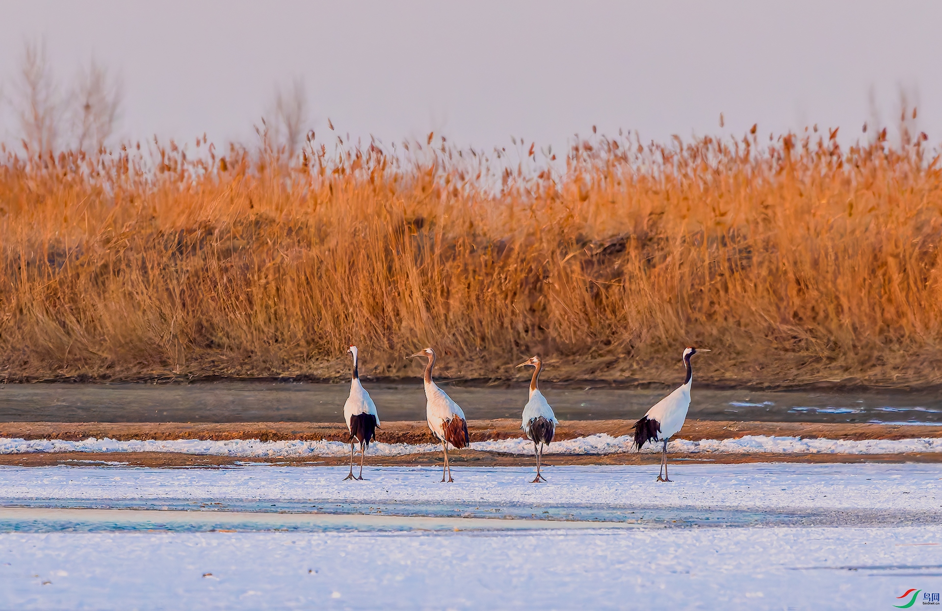 20260306-DSC00927 ����.jpg