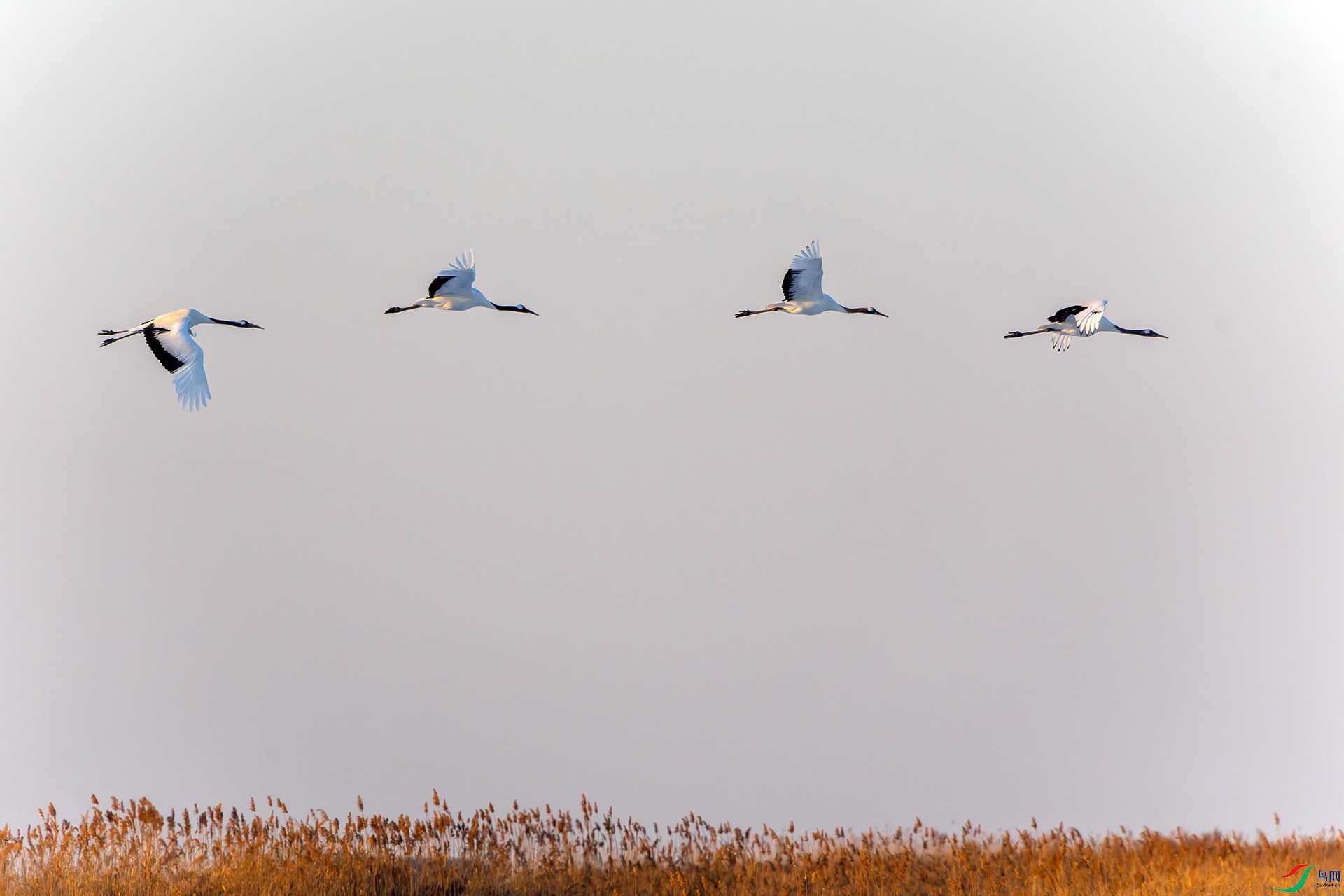 20260306-DSC00764 ����.jpg