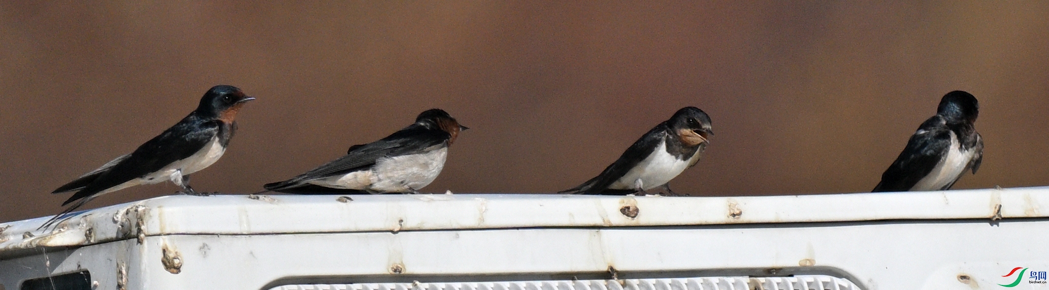DSC_3753.JPG