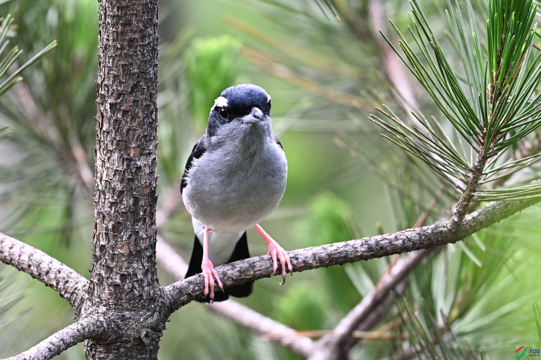DSC_1306.JPG
