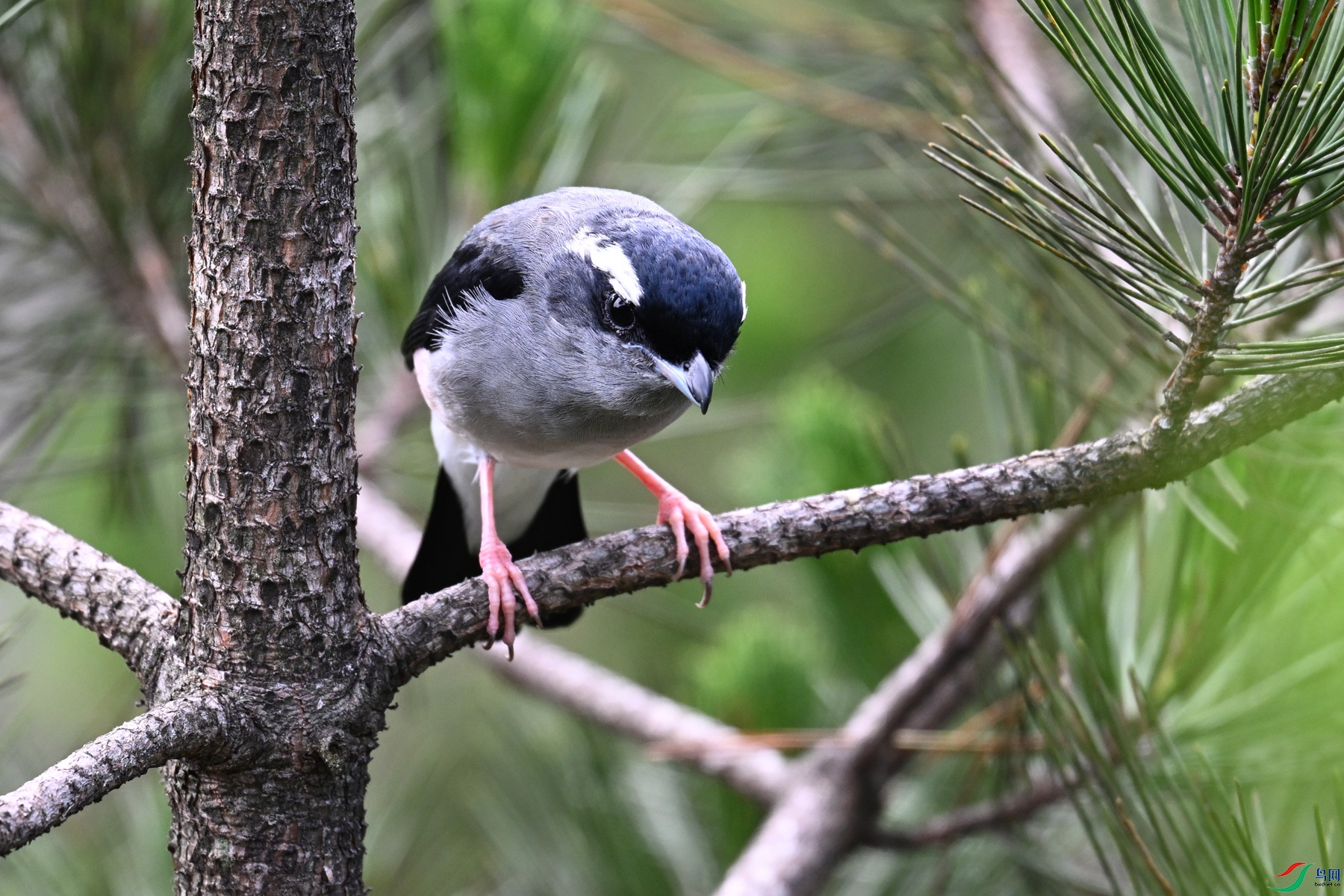 DSC_1310.JPG