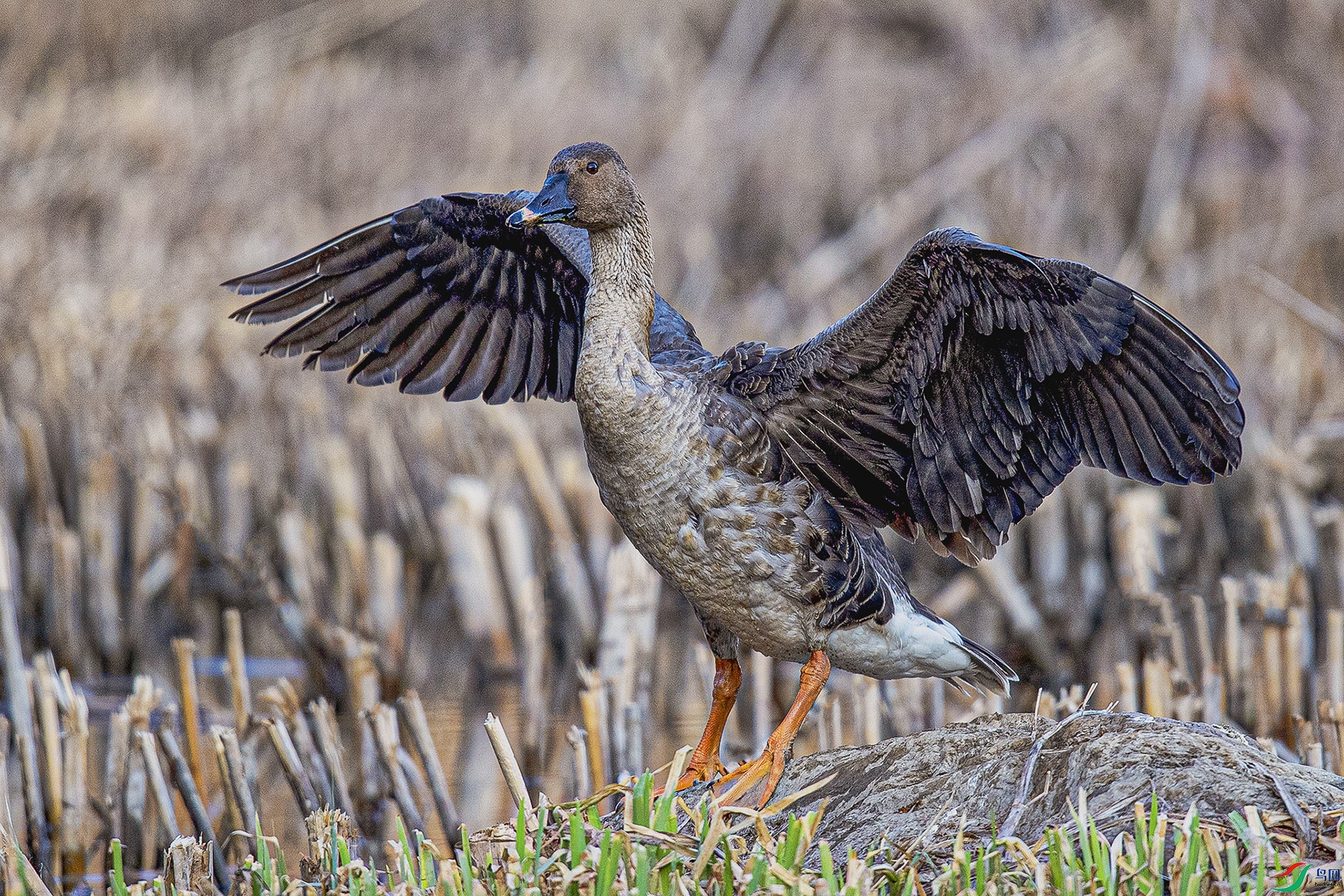 _90I2140 ���� 2.jpg