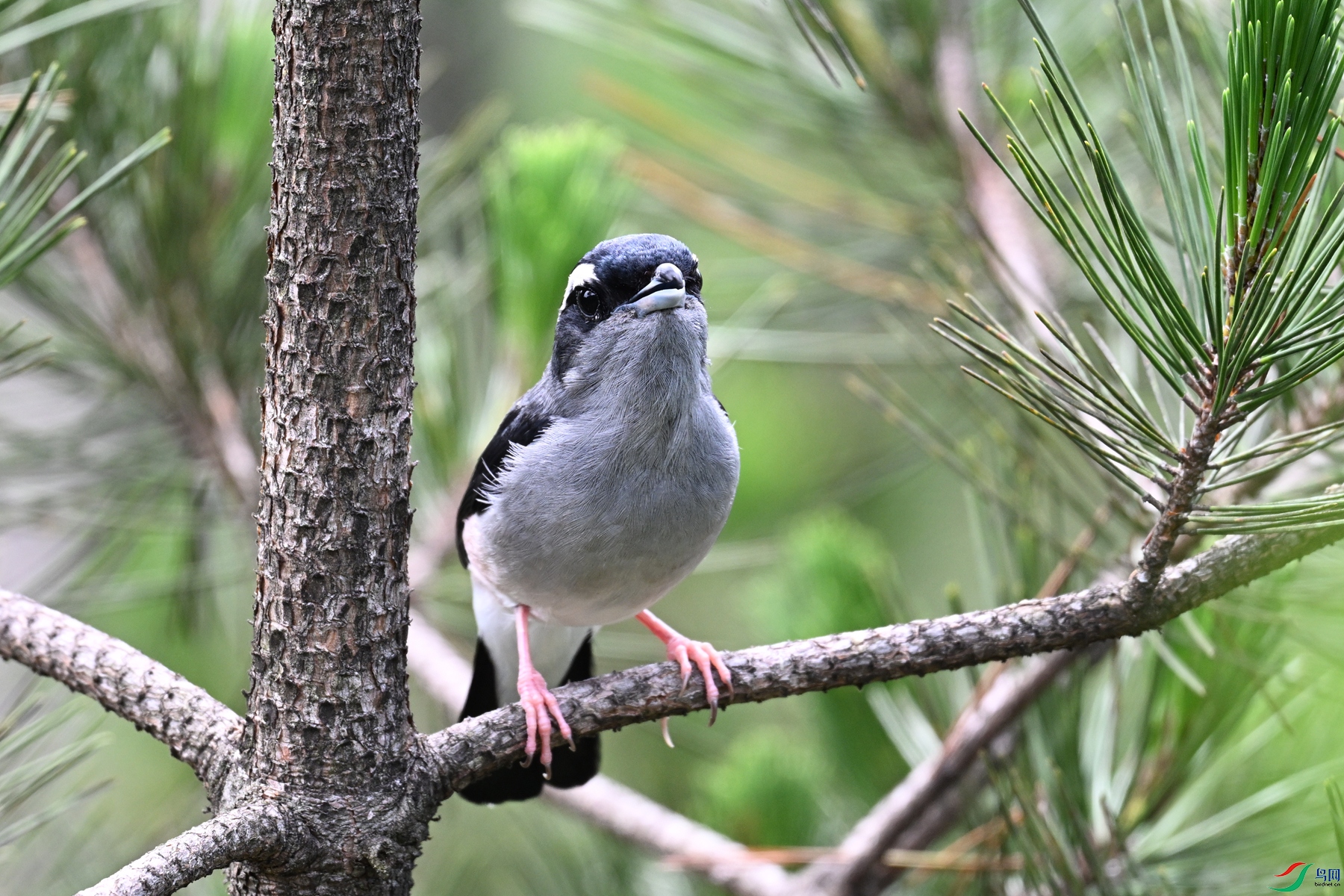 DSC_1292.JPG