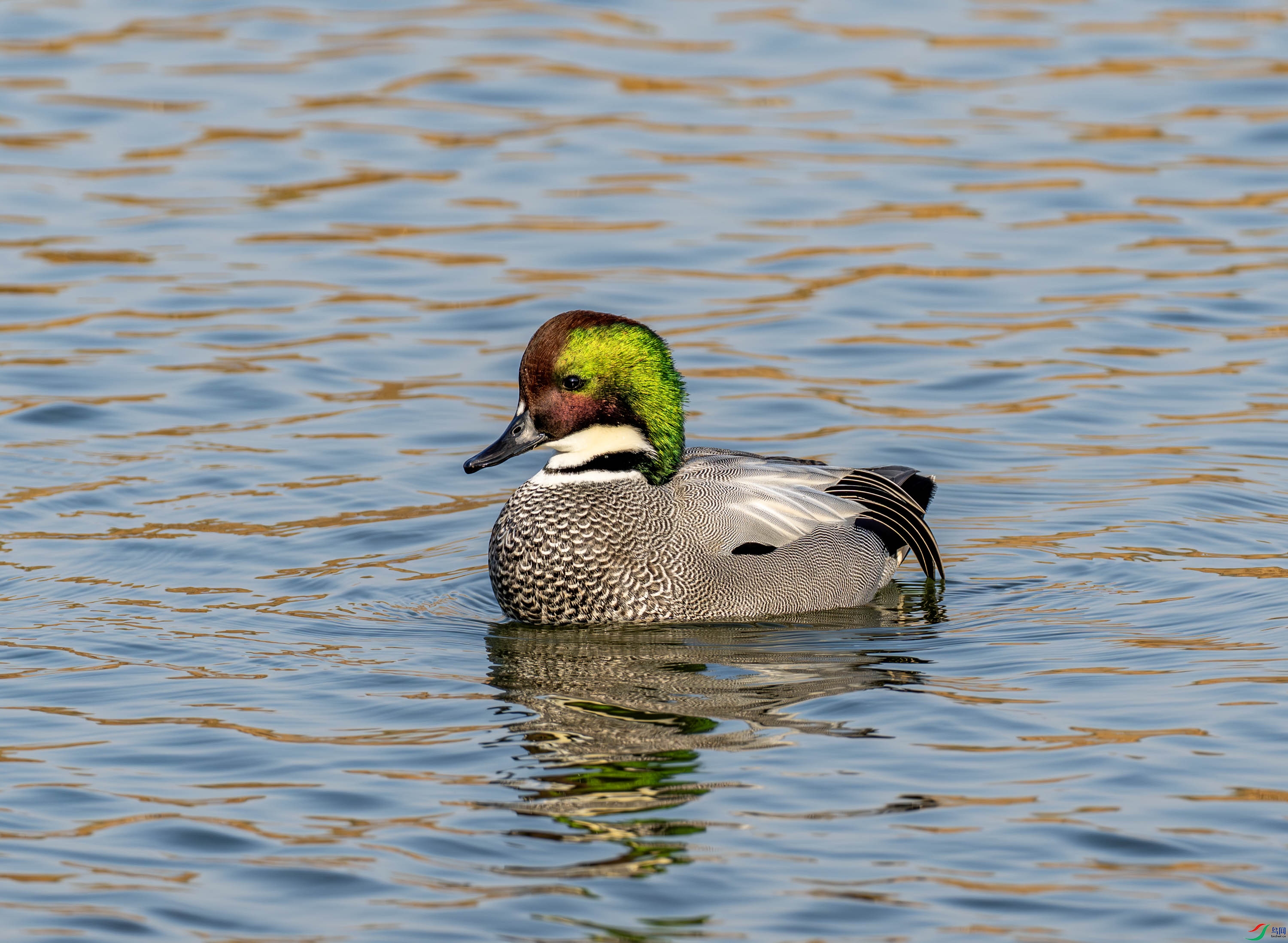 ����Ѽ-01-1 (19).jpg