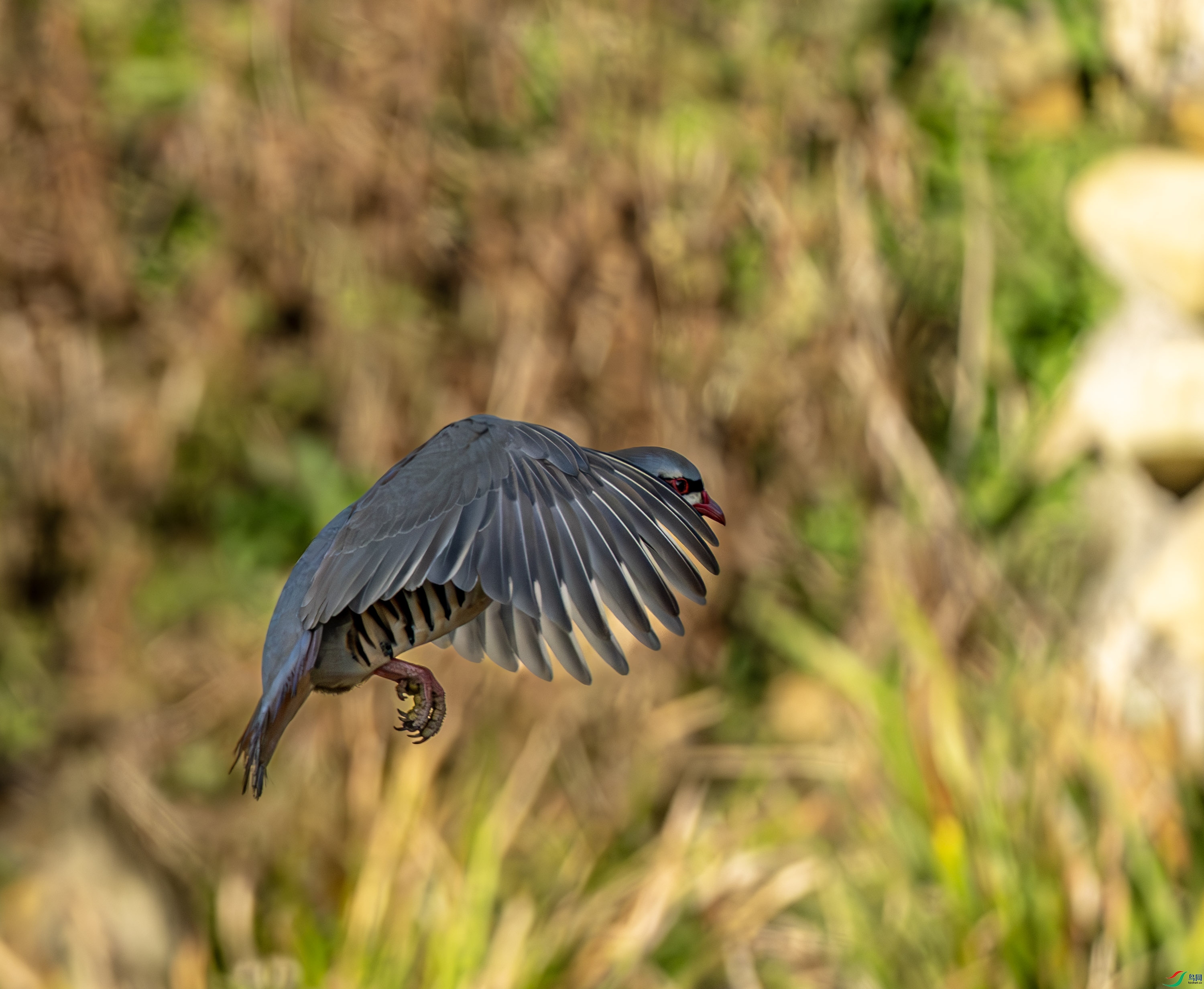 ʯ��-01-3.jpg