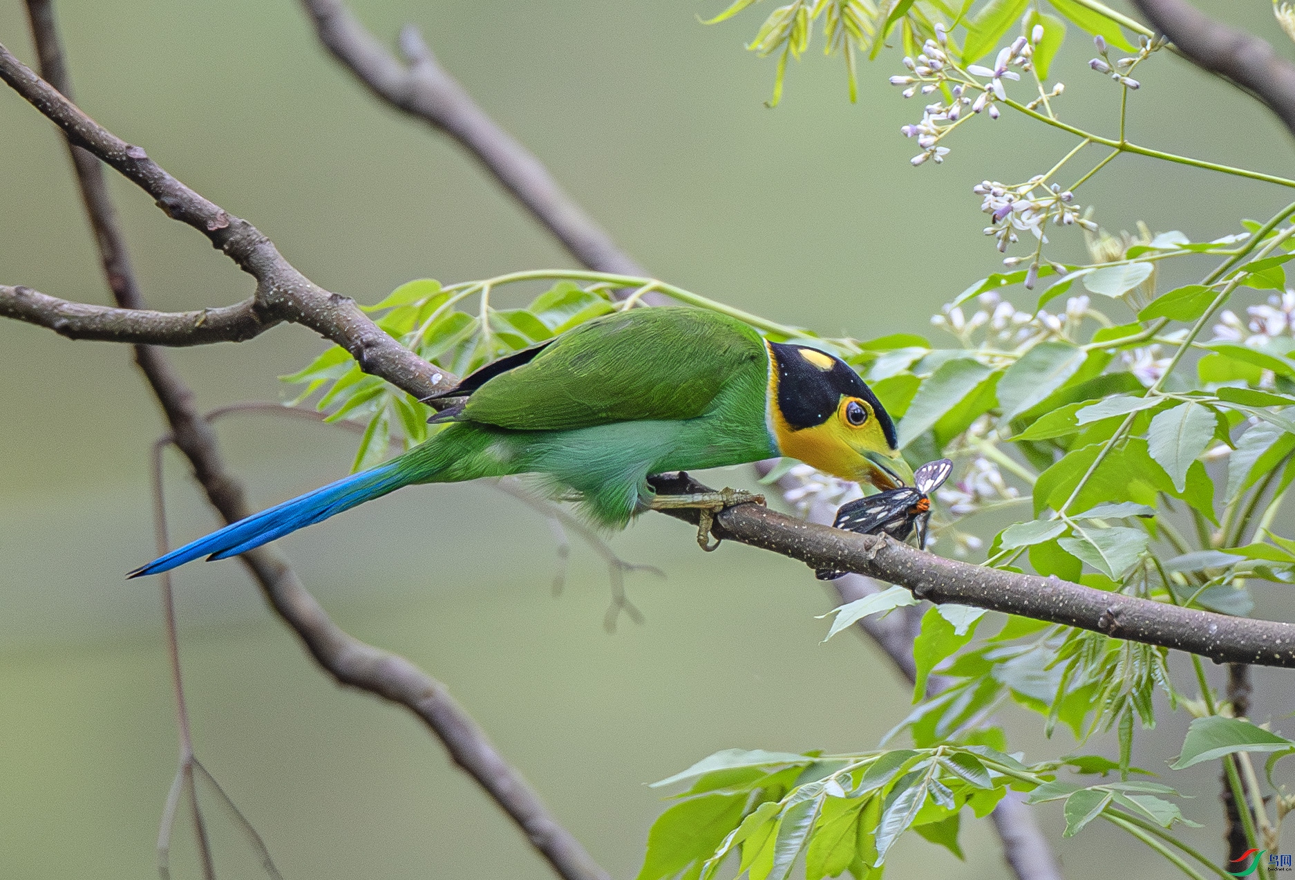 A46I0940 ����.jpg