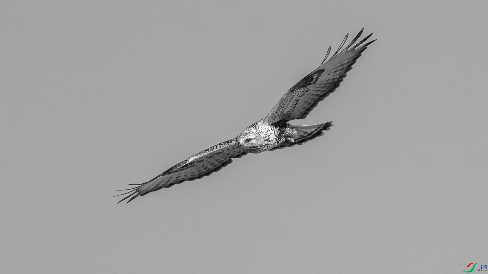 _DSC0575 ���� 2.jpg