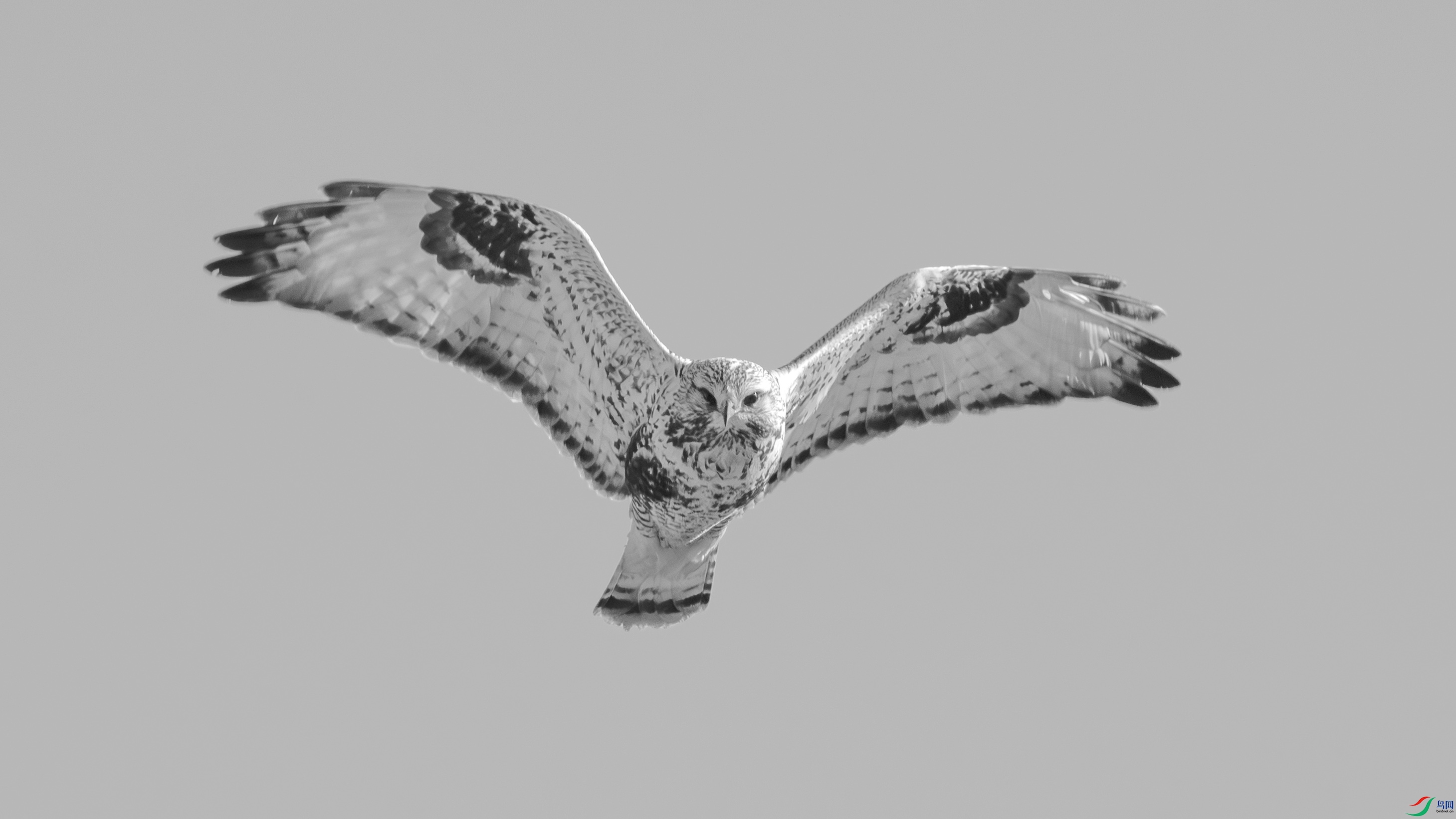 _DSC7434 ����.jpg