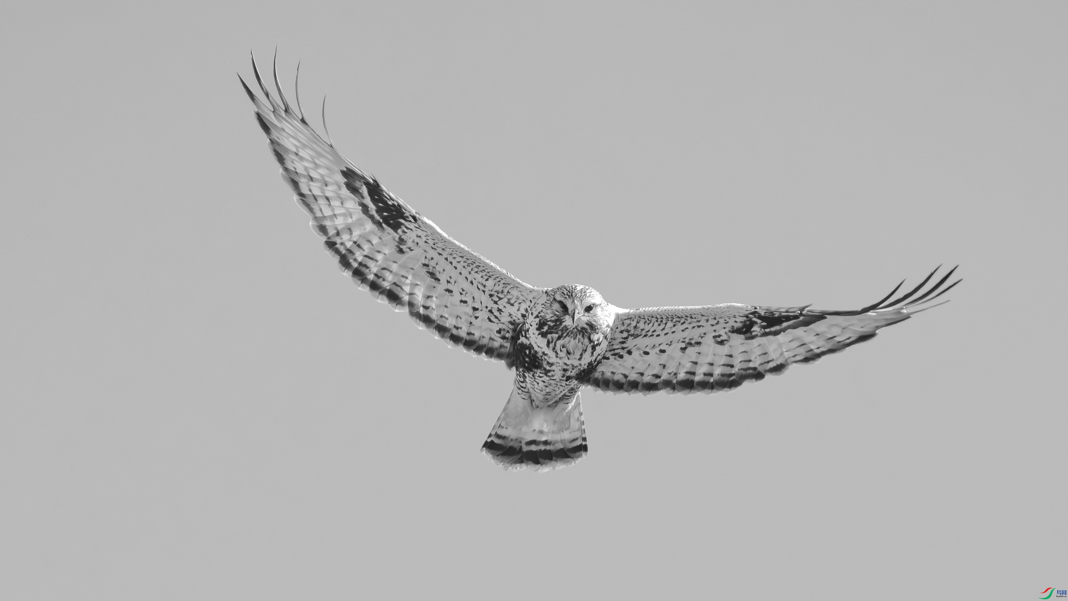 _DSC7436 ����.jpg