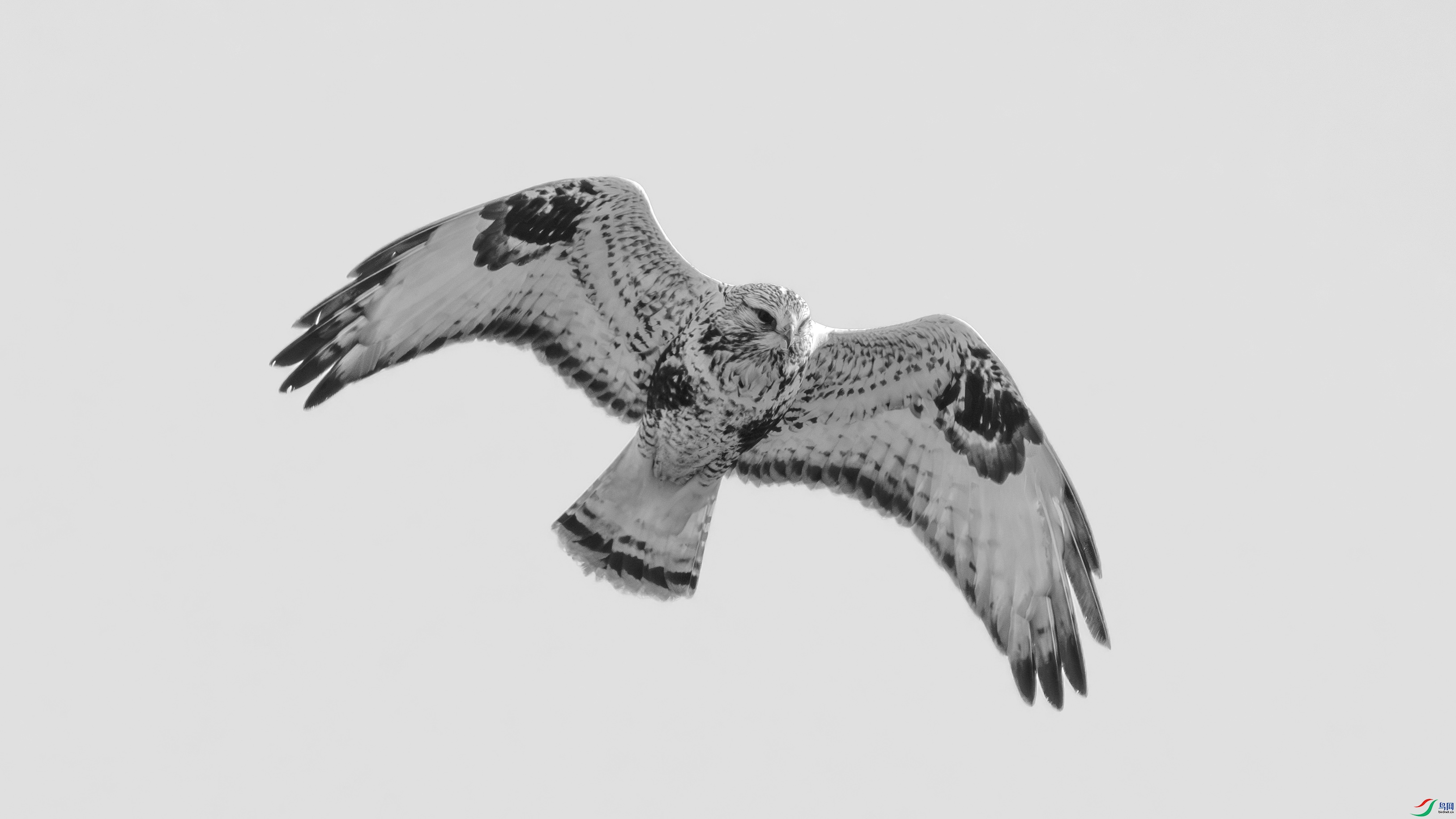 _DSC7439 ����.jpg