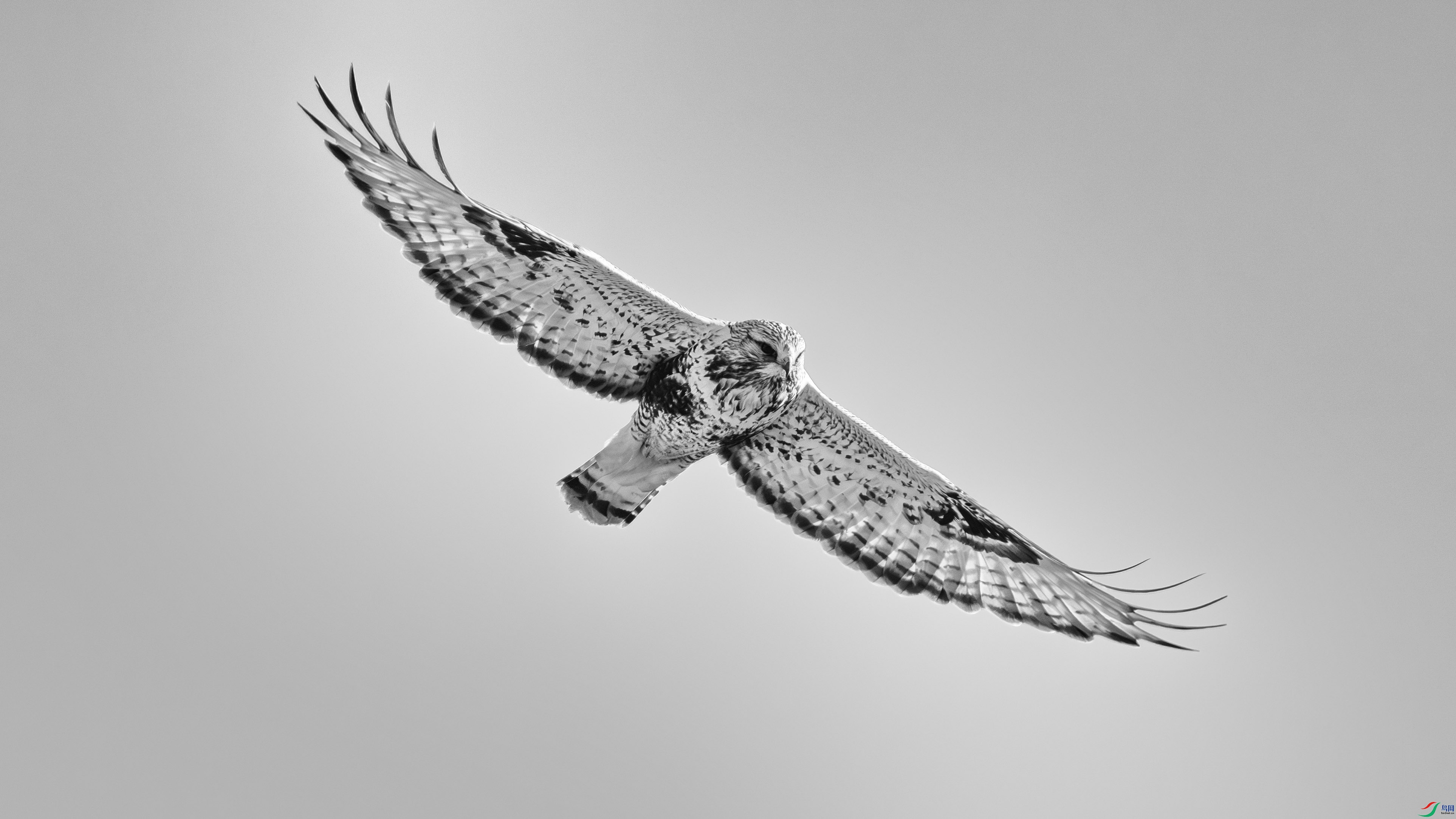 _DSC7443 ����.jpg