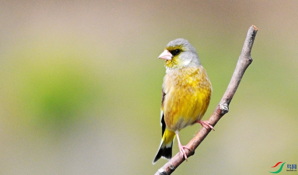 DSC_4370.JPG