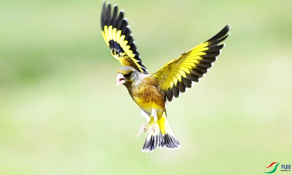 DSC_4636.JPG