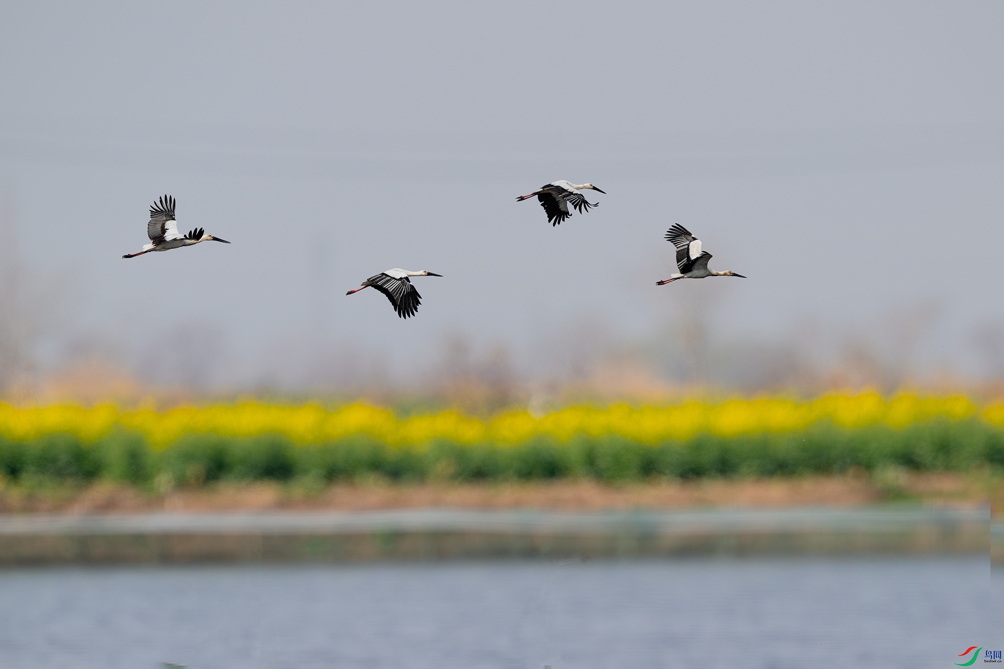 _DSC6009 ����С.jpg