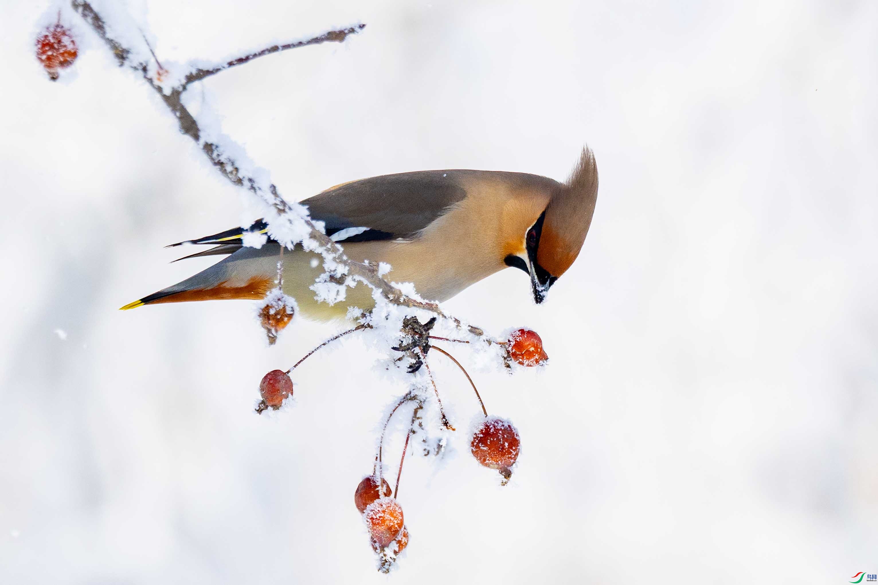 107A5924 ����.jpg