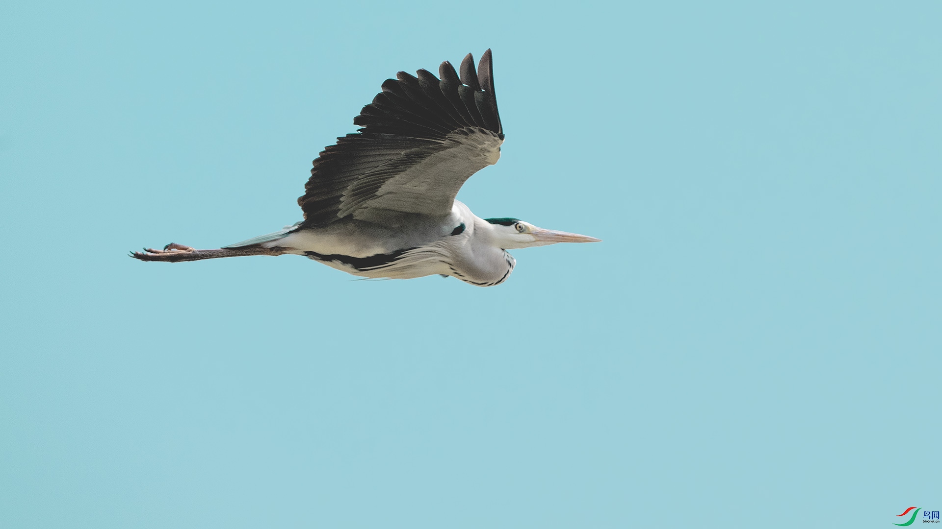 DSC_8715 ����.jpg