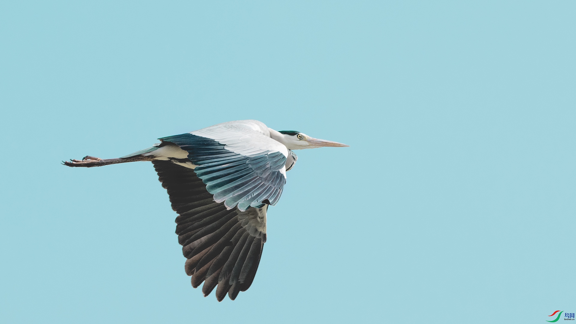 DSC_8717 ����.jpg