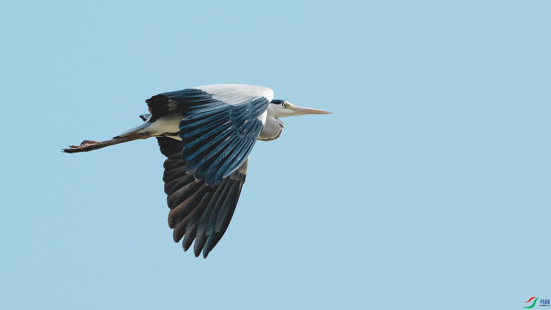 DSC_8718 ����.jpg