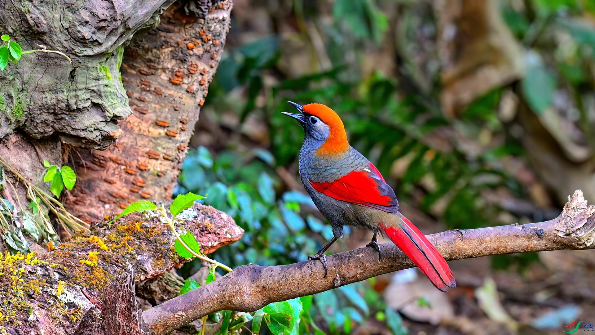 3��6�� (1)(1).jpg