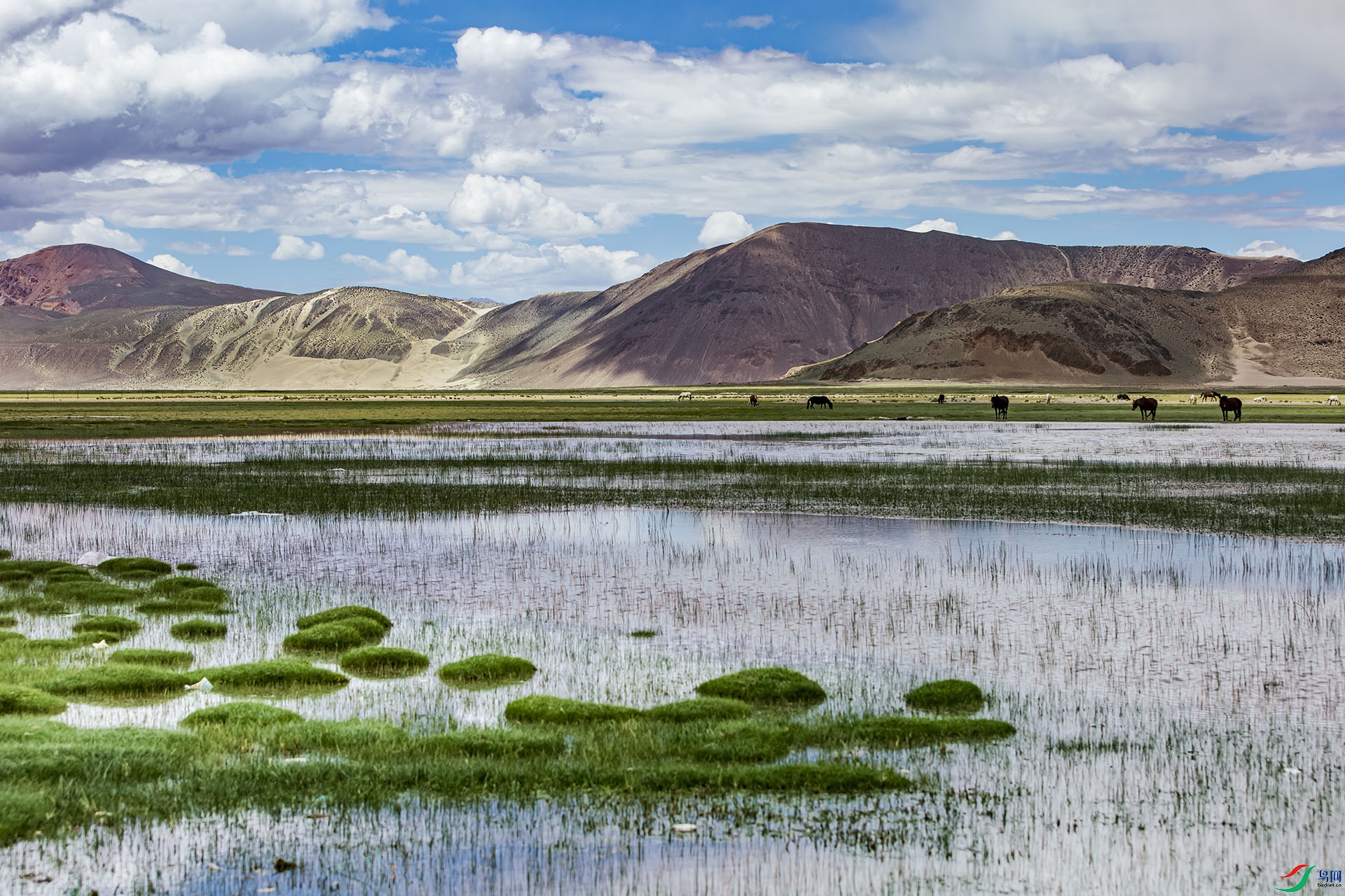 1J9A7910-2 ����0000000000.jpg