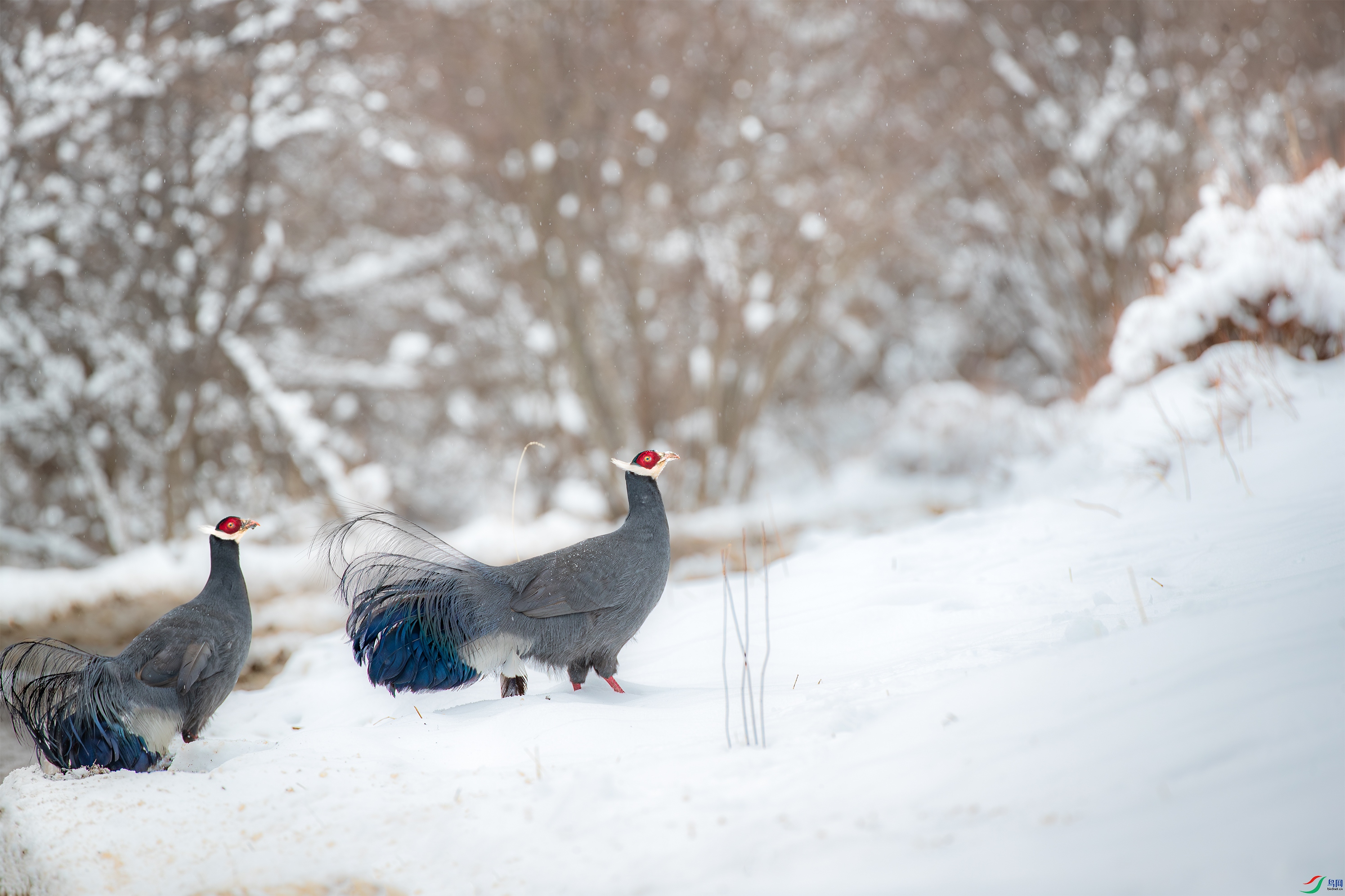 AY8I9041 ����.jpg