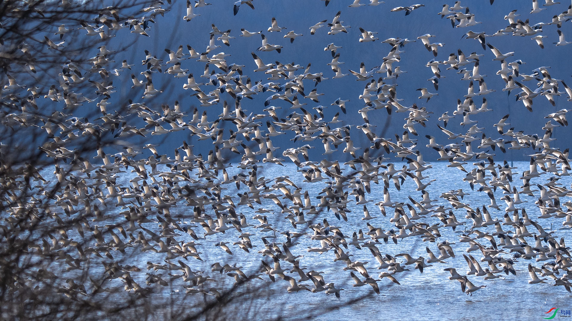 DSC_6684_��ͼ��_��ͼ��_��ͼ��.jpgZ ����.jpga.jpg