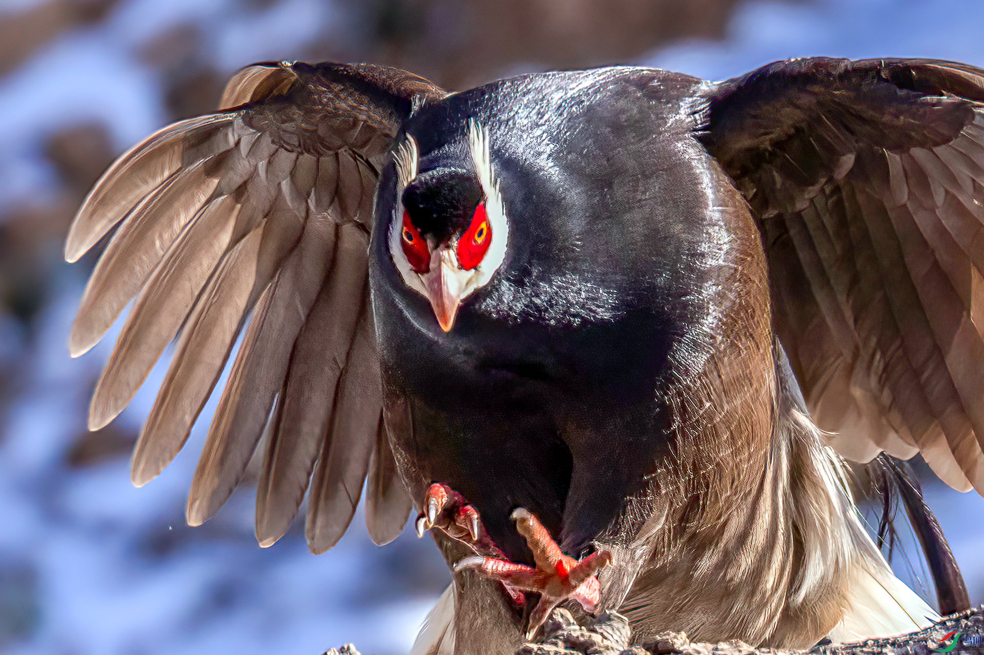 _07A0604 ����-Sh----1 .jpg