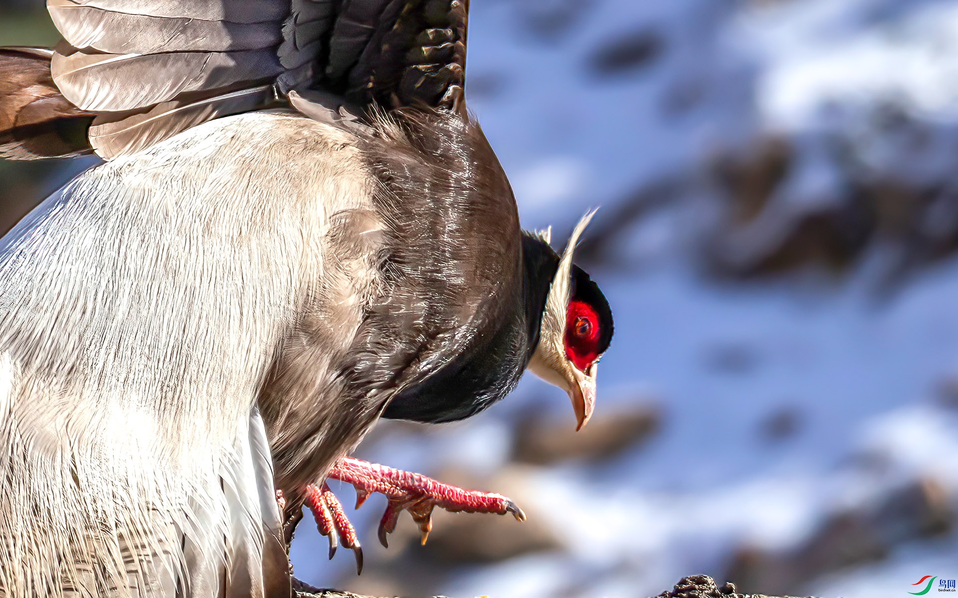 _07A0664 ����-Sh----1 .jpg