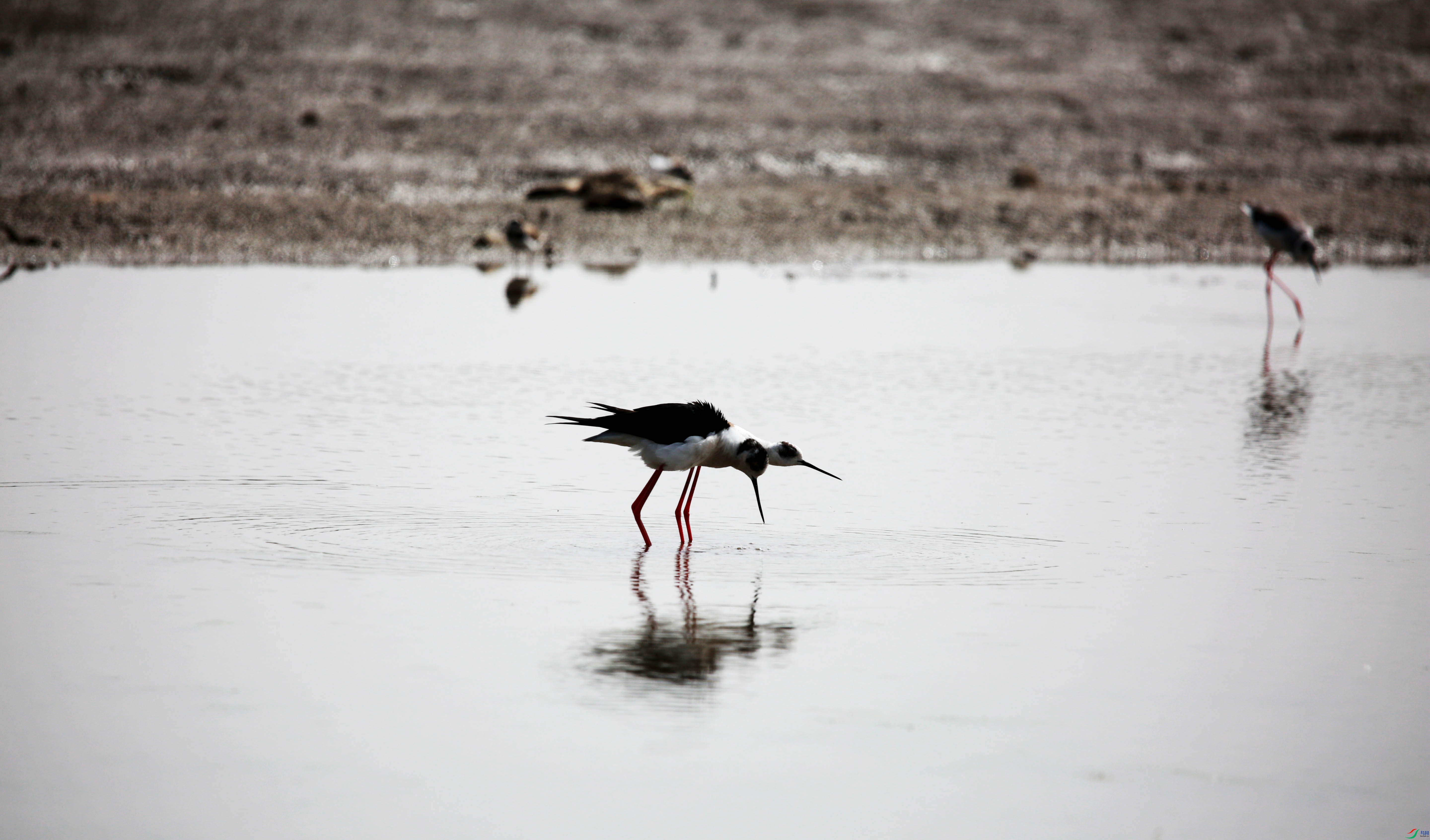 VCG211328831616 (1).jpg