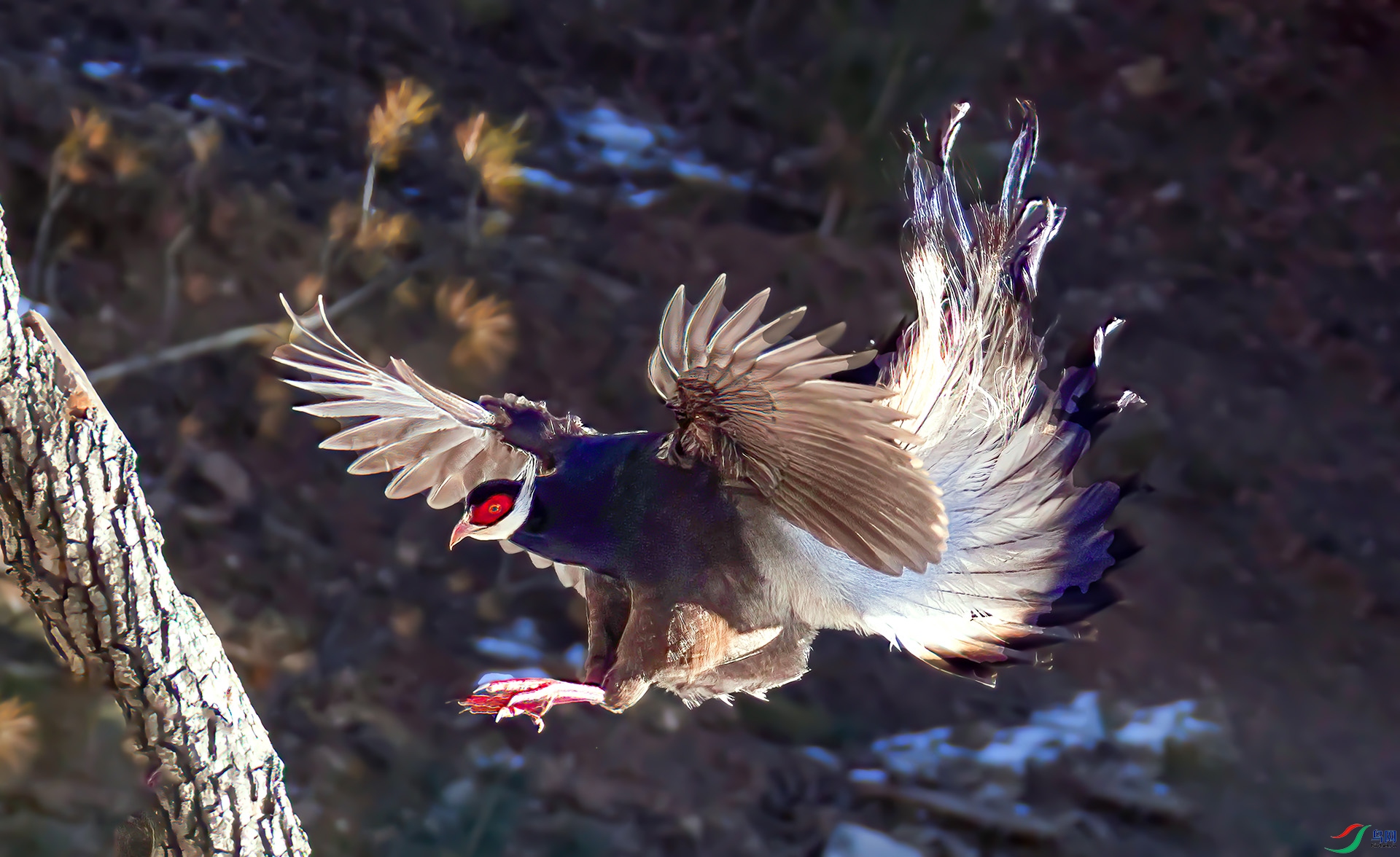 _07A1098 ����-Sh---1 .jpg